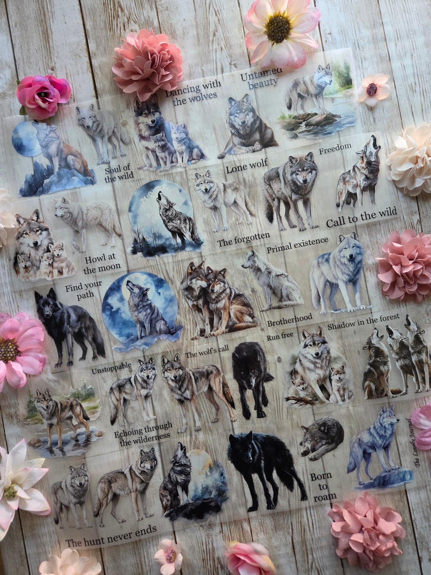 Wolves - PET Tape Sample Loop (Reggie)