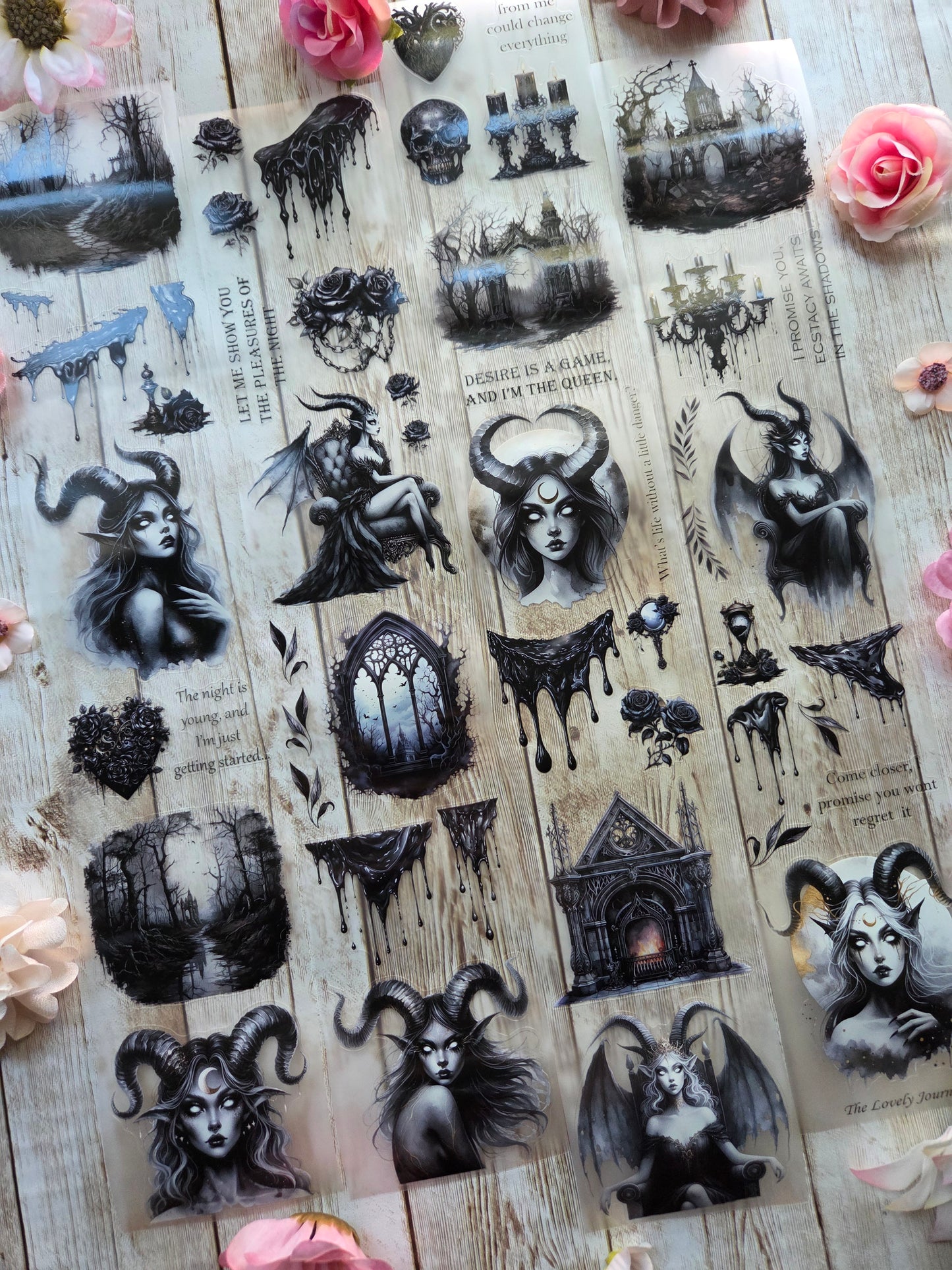 Succubus - PET Tape Sample Loop (Reggie)