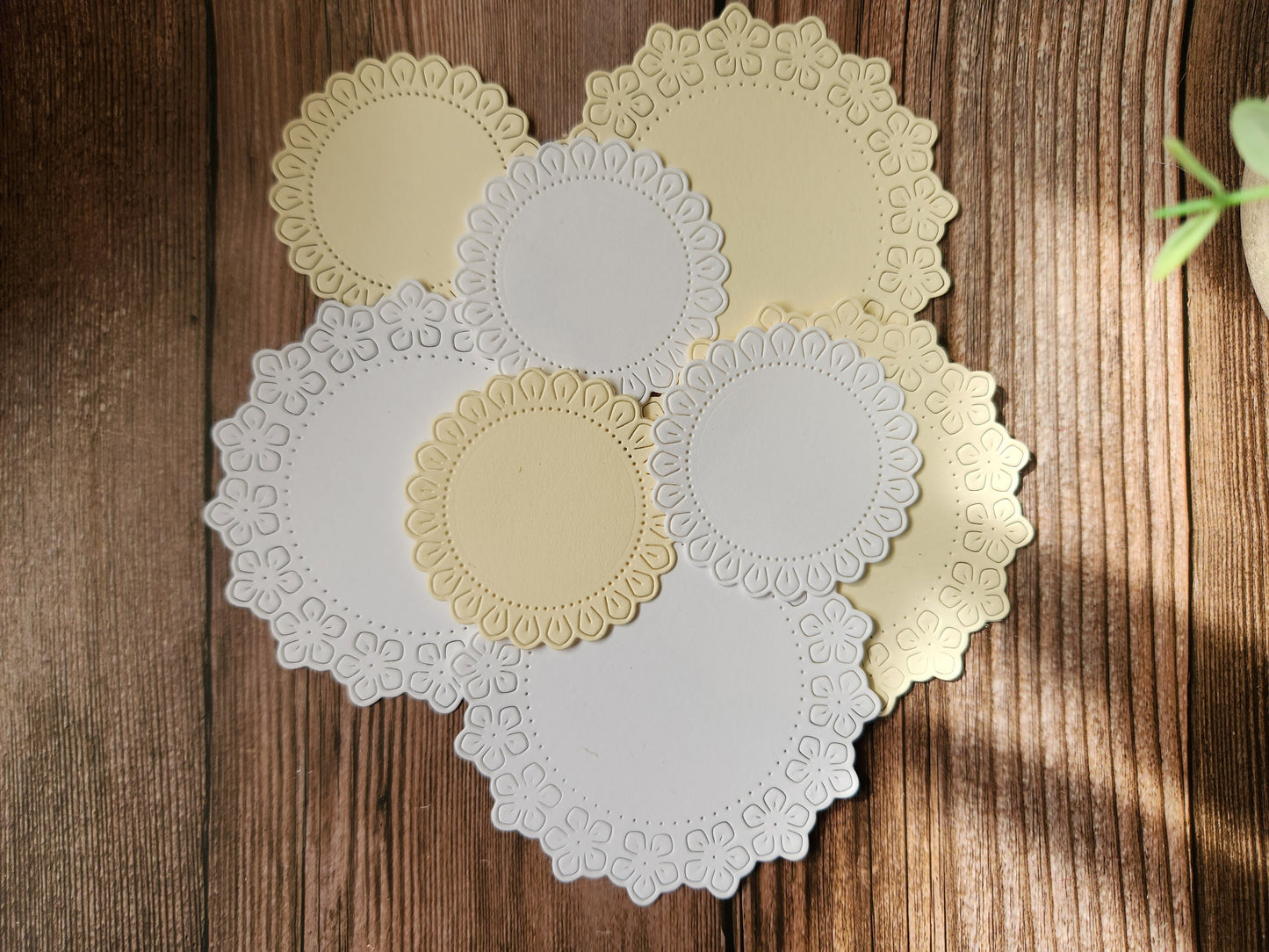 Flower Doily Die Cuts