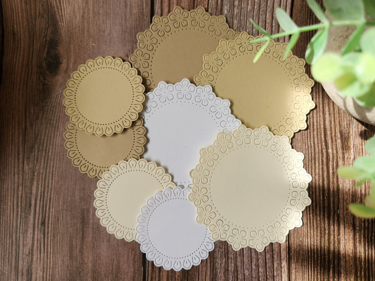 Flower Doily Die Cuts