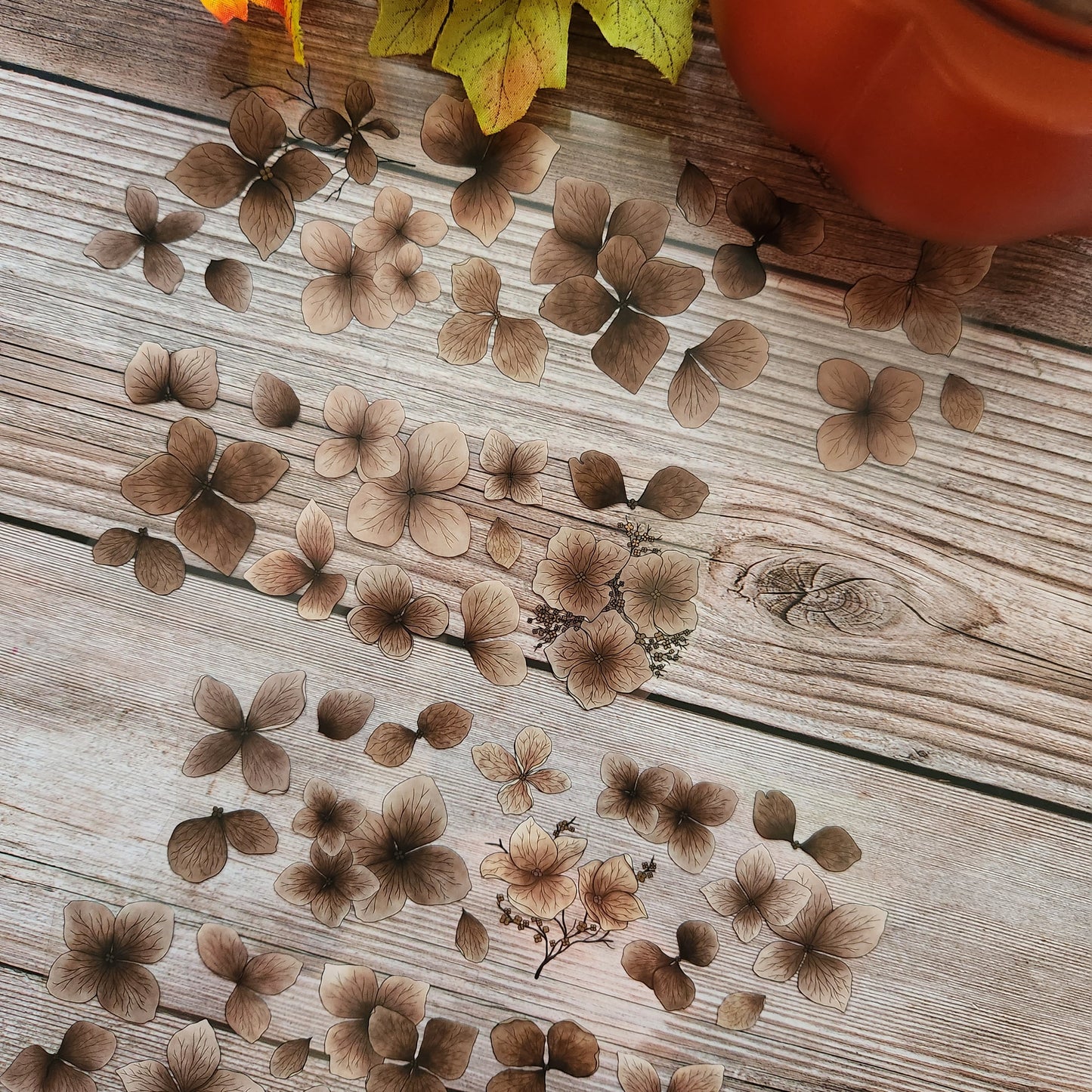 Hydrangeas Pet Tape Sample Loop