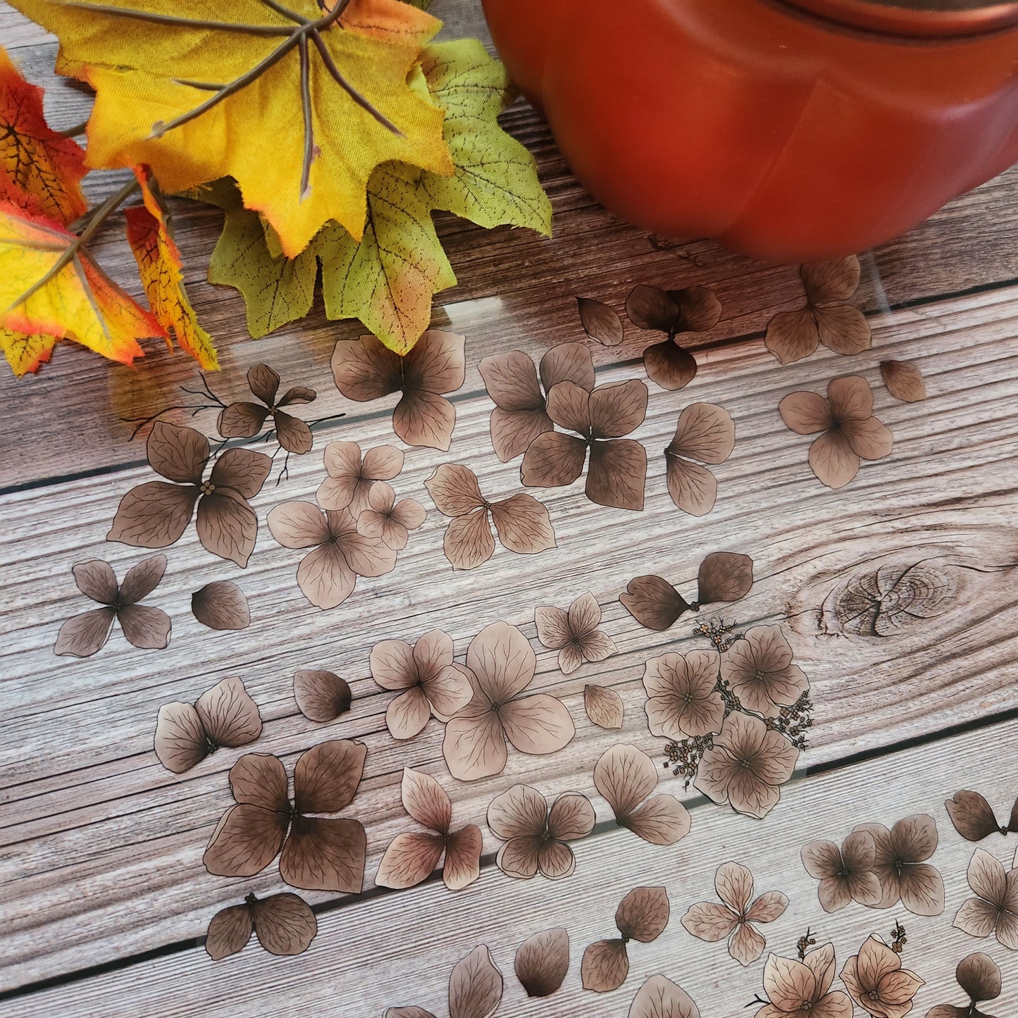 Hydrangeas Pet Tape Sample Loop