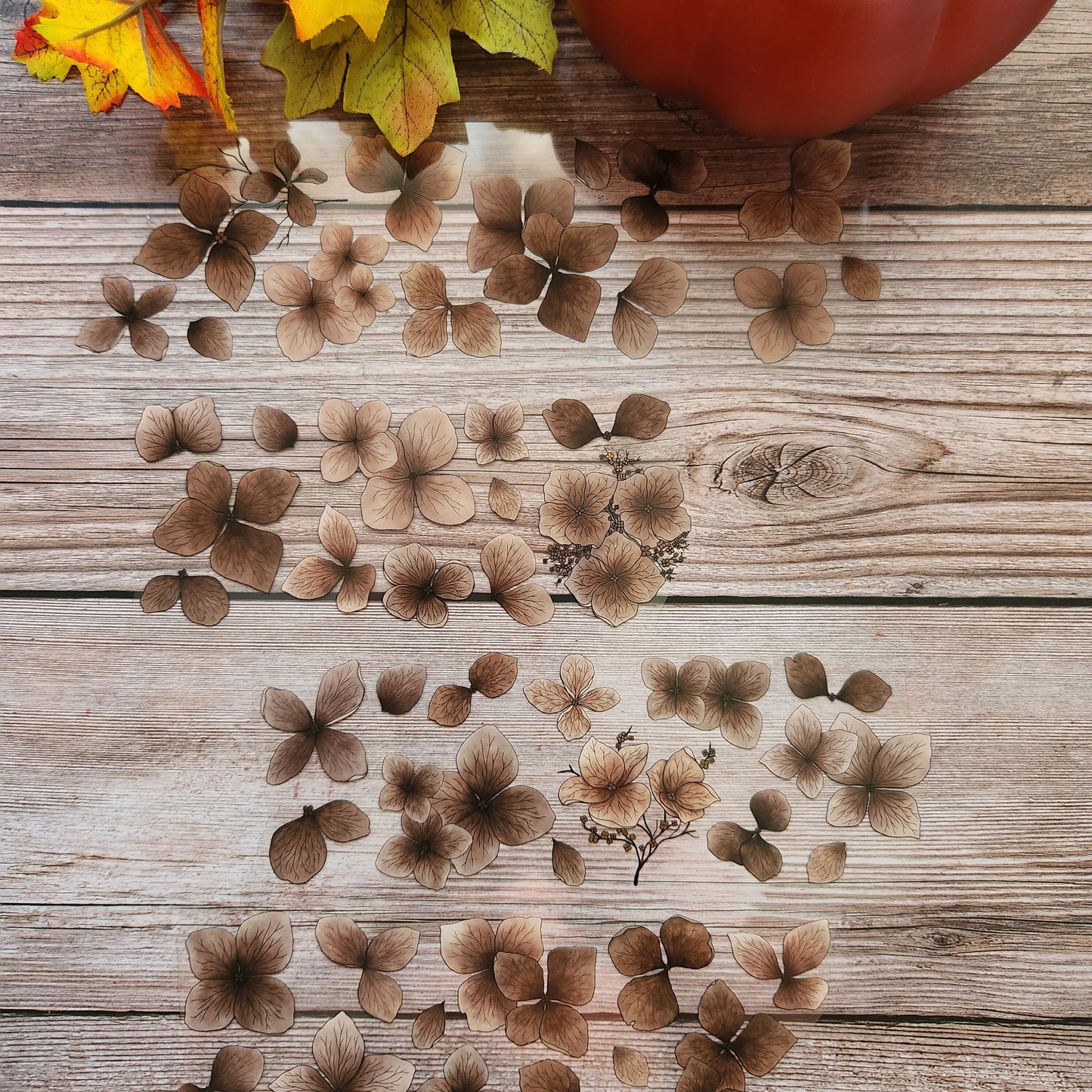Hydrangeas Pet Tape Sample Loop