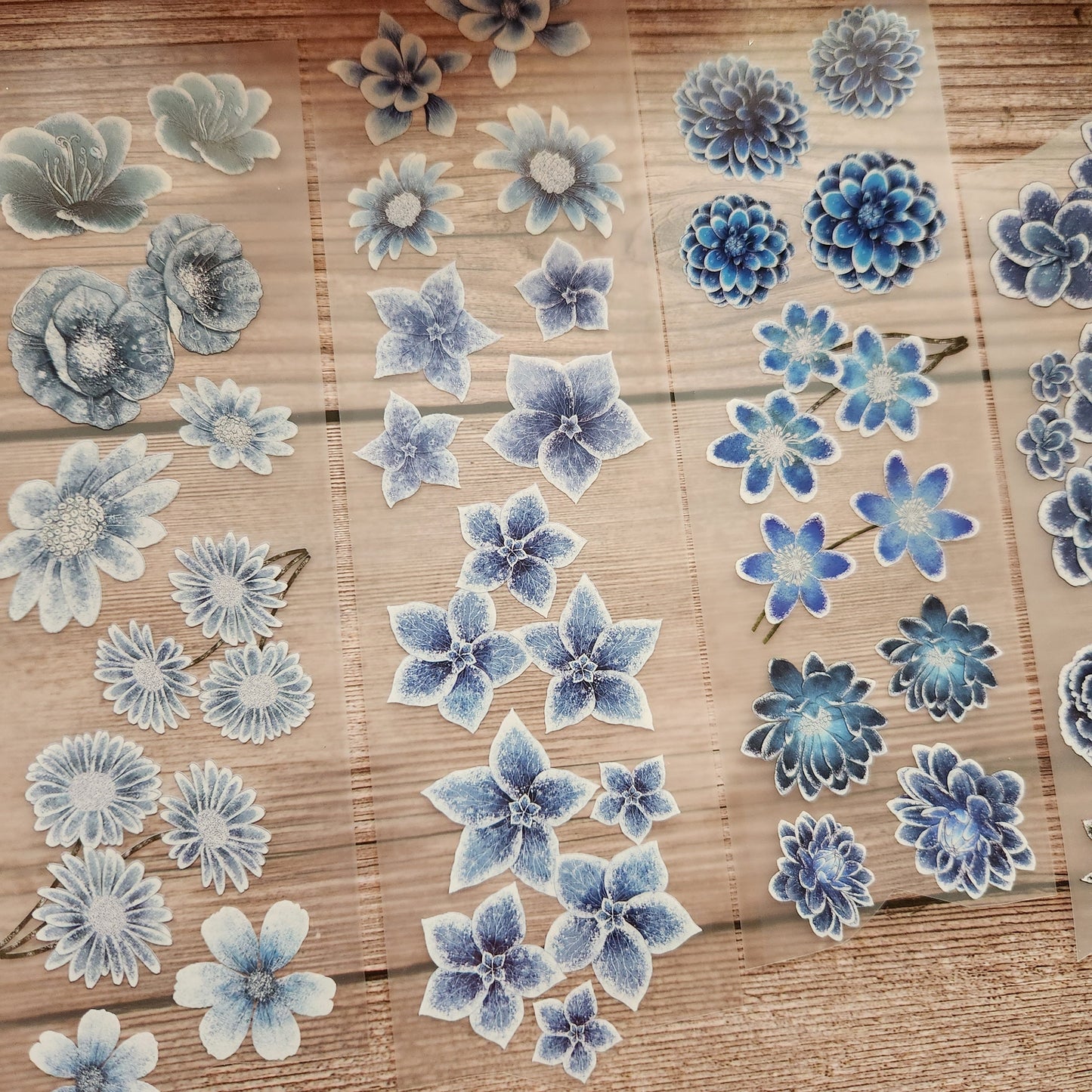 Winter Flowers Pet Tape Sample Loop