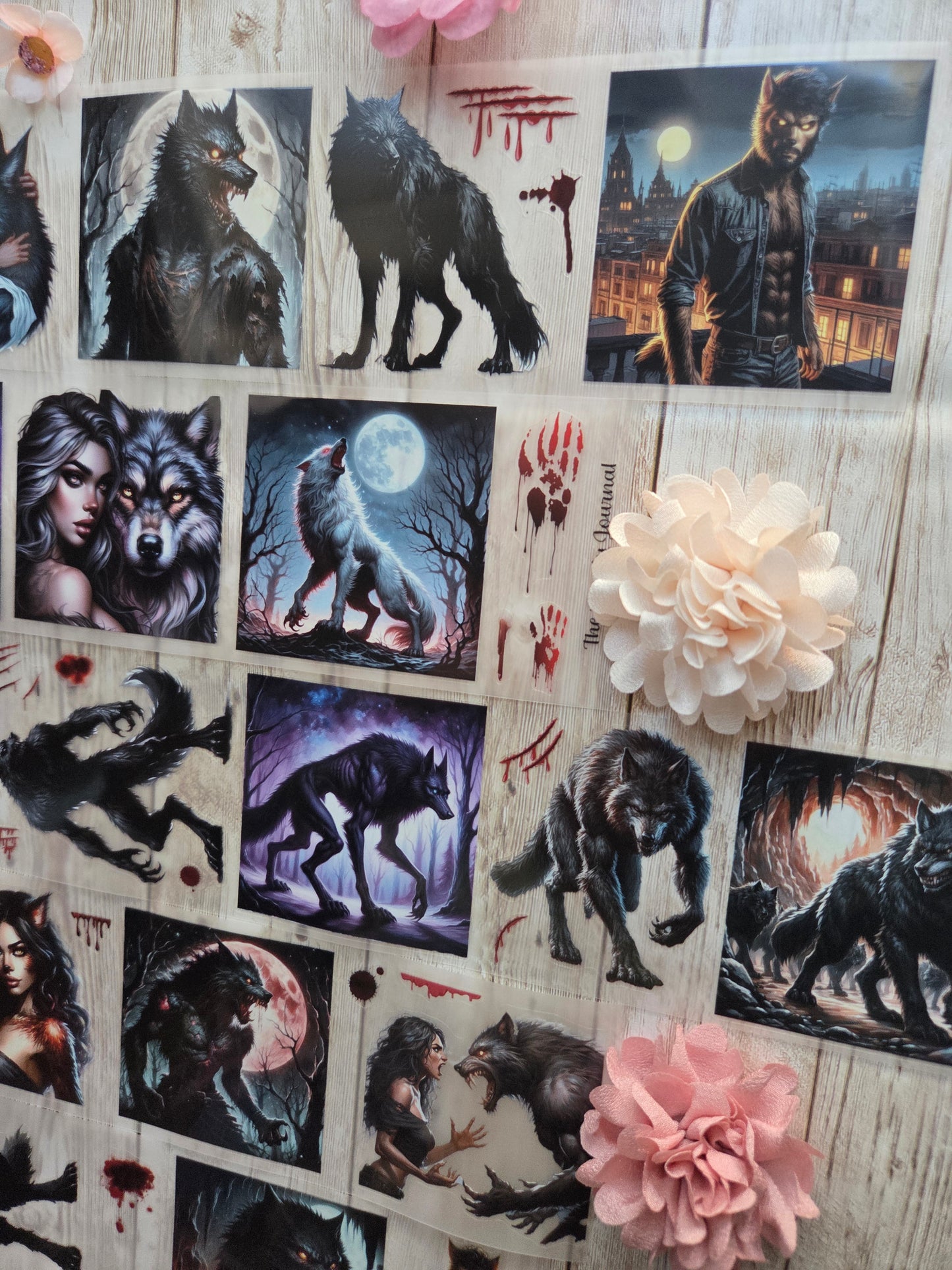 Werewolf - PET Tape Sample Loop (Reggie)