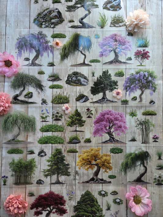 Big Trees - PET Tape Sample Loop (Biggie)