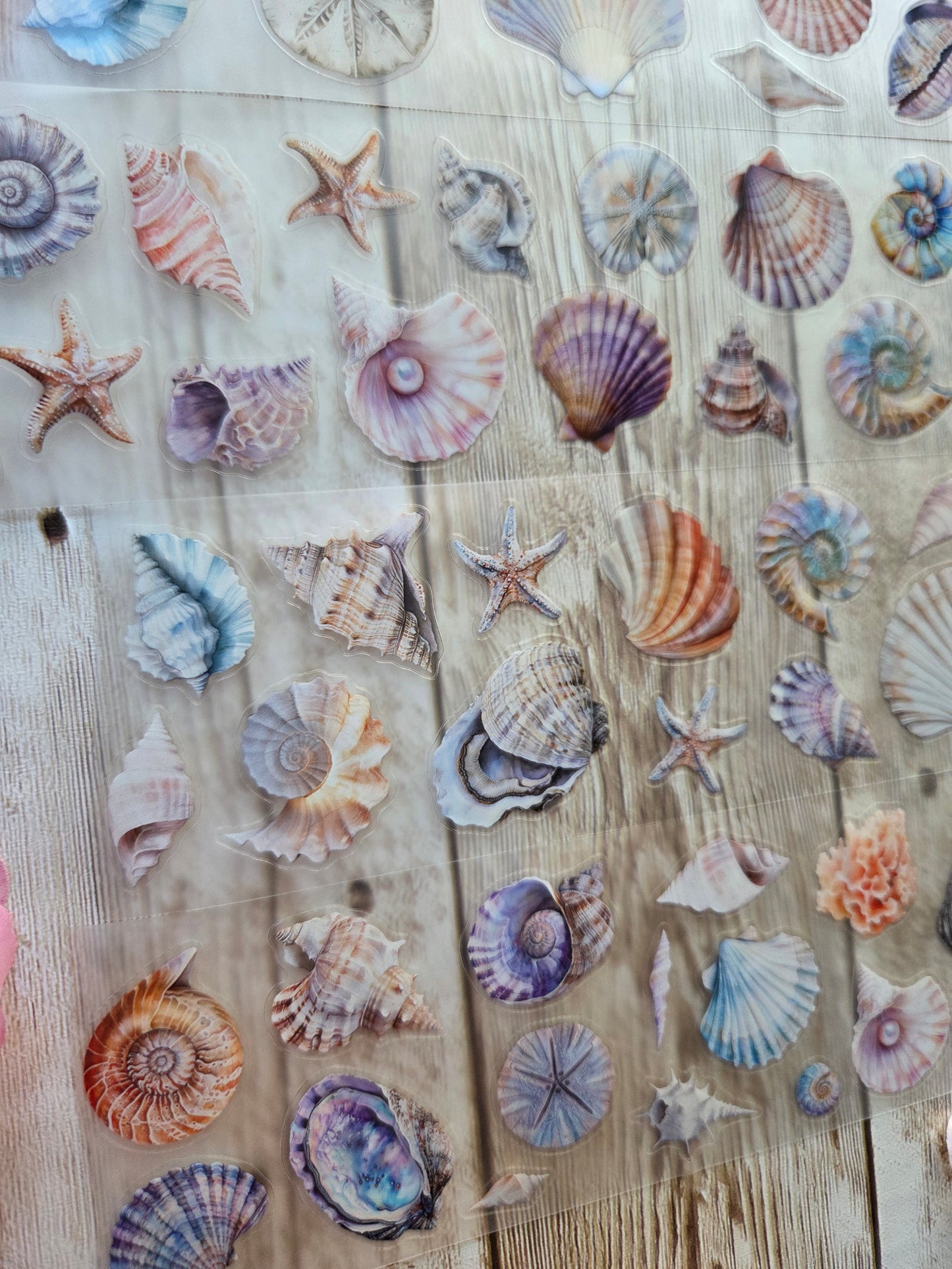 Seashells - PET Tape Sample Loop (Mini)