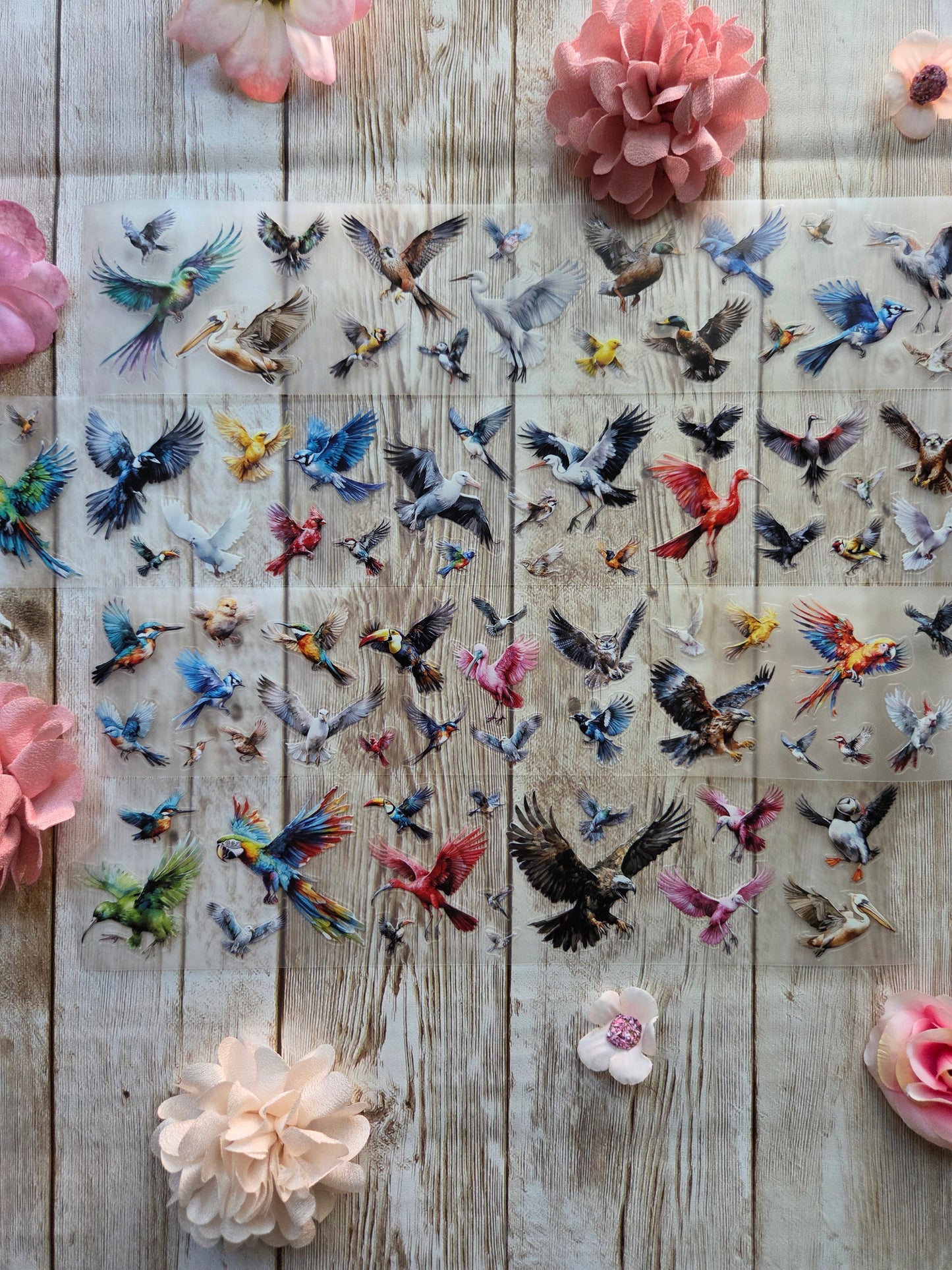 Birds - PET Tape Sample Loop (Mini)