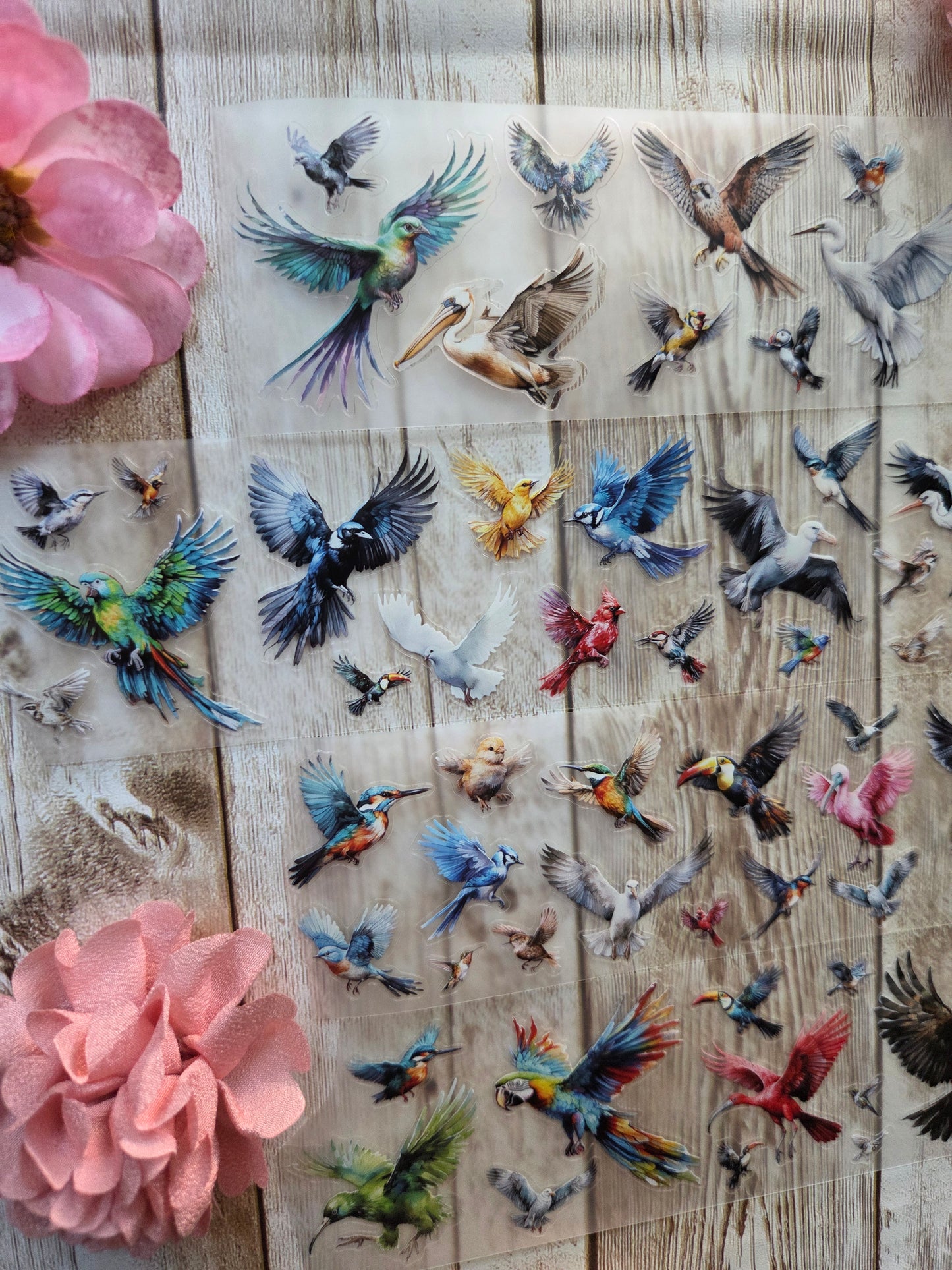 Birds - PET Tape Sample Loop (Mini)