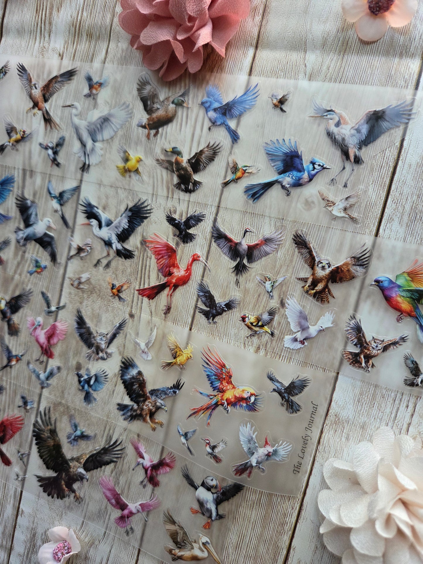 Birds - PET Tape Sample Loop (Mini)