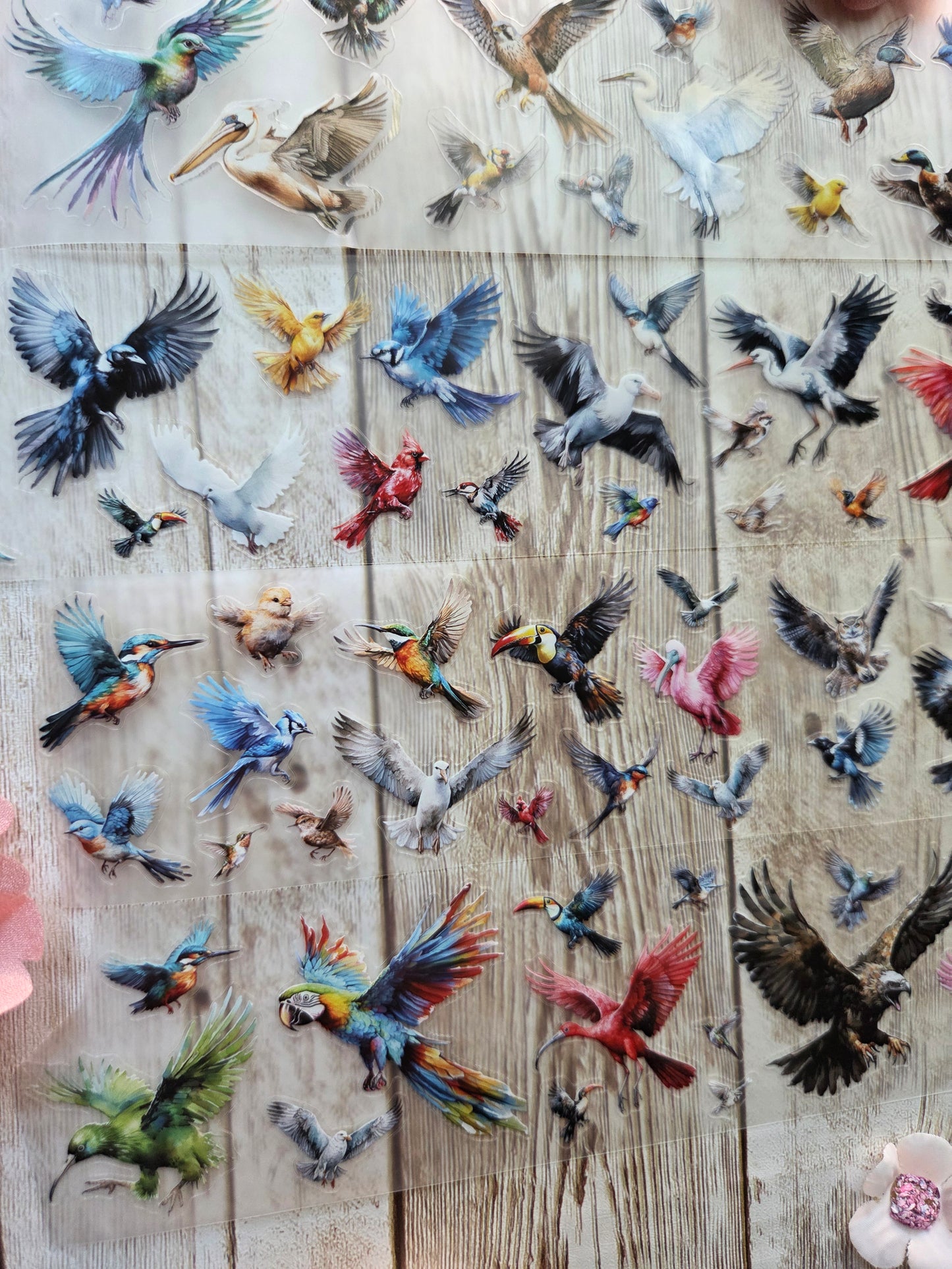 Birds - PET Tape Sample Loop (Mini)