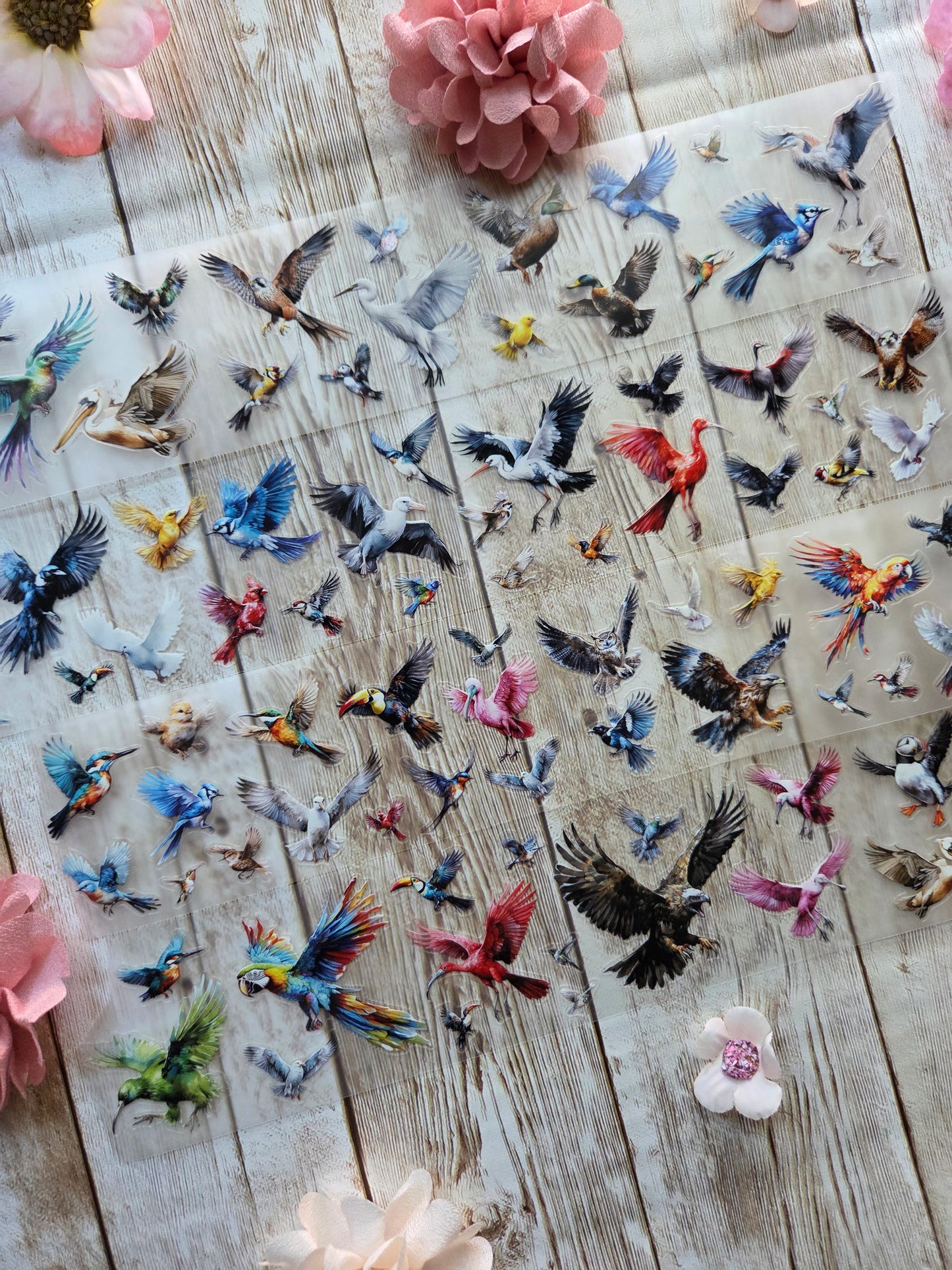 Birds - PET Tape Sample Loop (Mini)