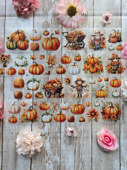 Pumpkins - PET Tape Sample Loop (Mini)