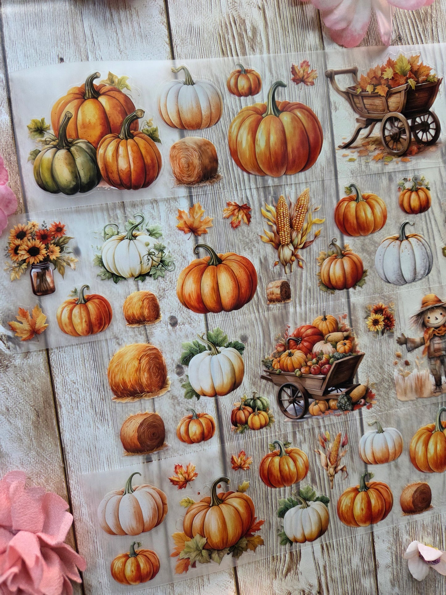 Pumpkins - PET Tape Sample Loop (Mini)