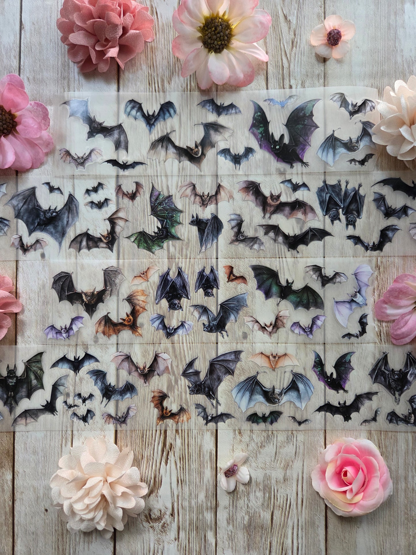 Bats - PET Tape Sample Loop (Mini)