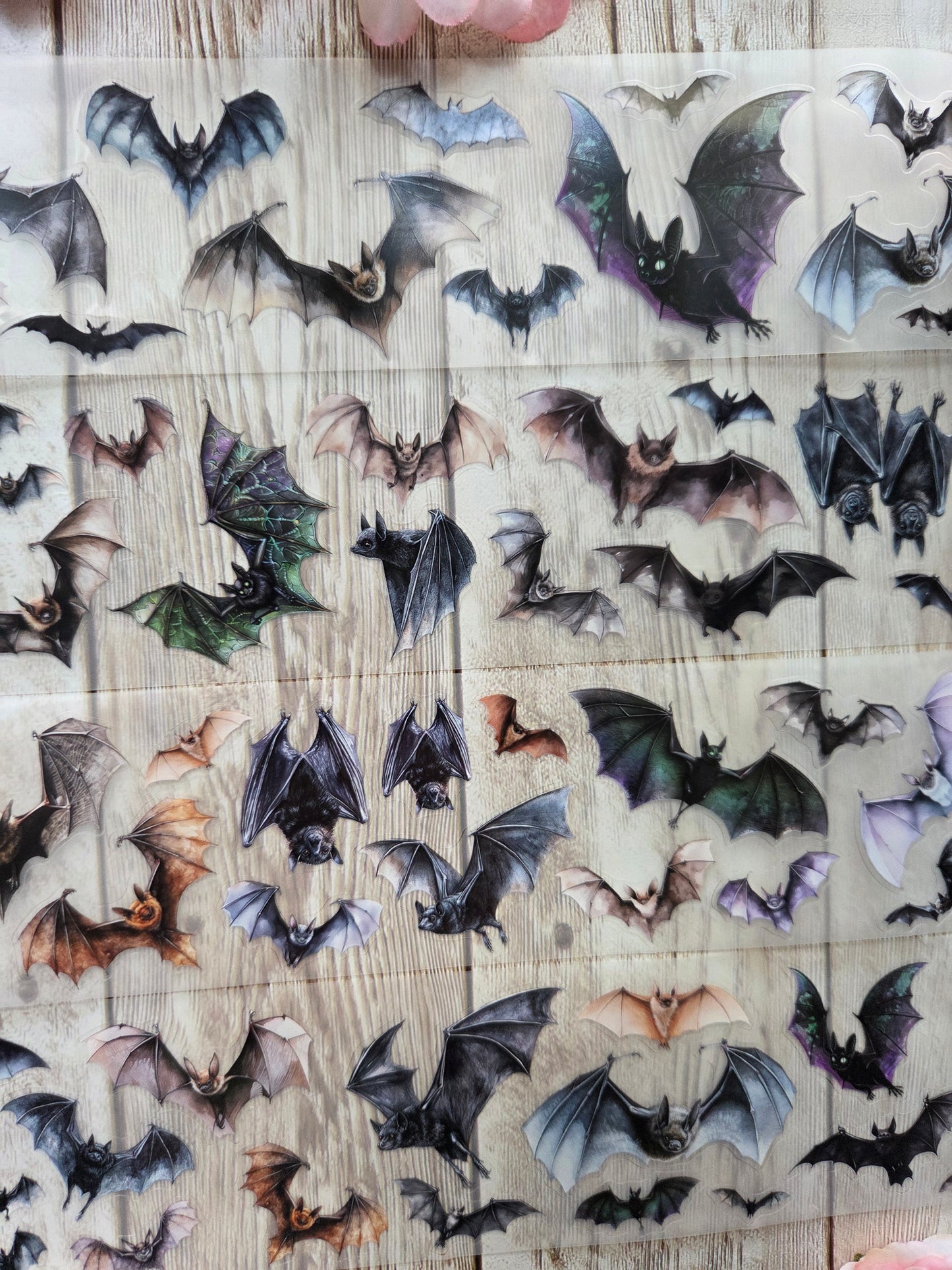 Bats - PET Tape Sample Loop (Mini)