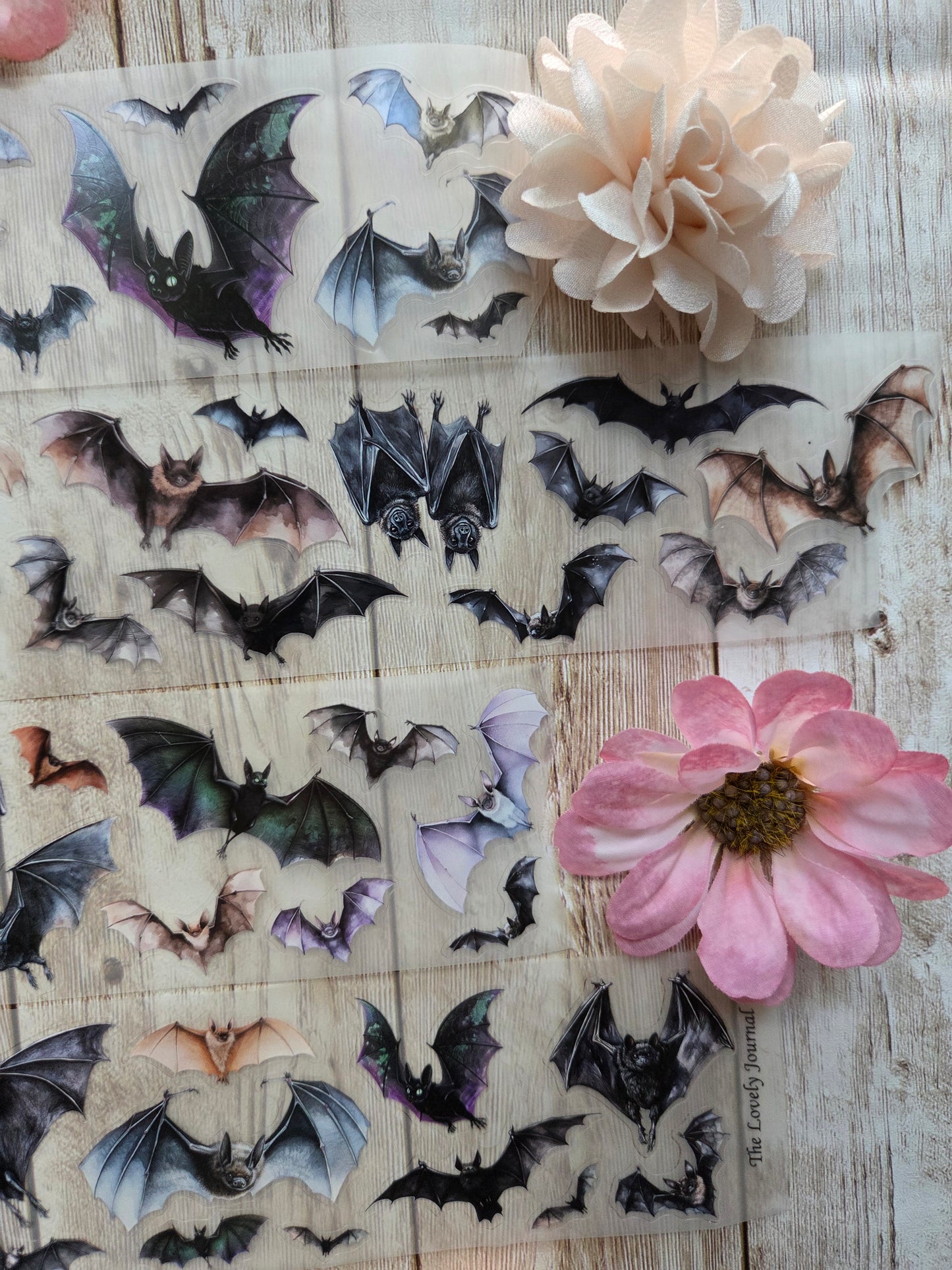 Bats - PET Tape Sample Loop (Mini)