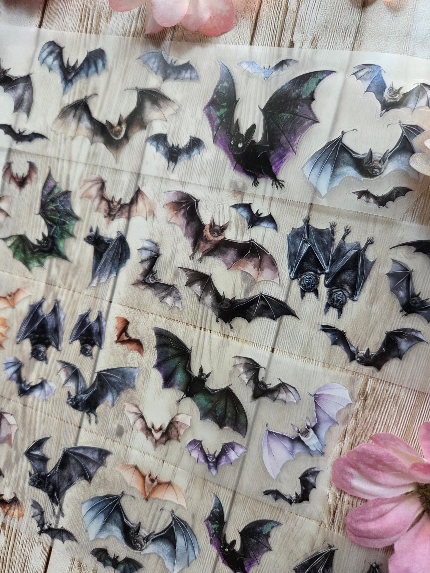 Bats - PET Tape Sample Loop (Mini)