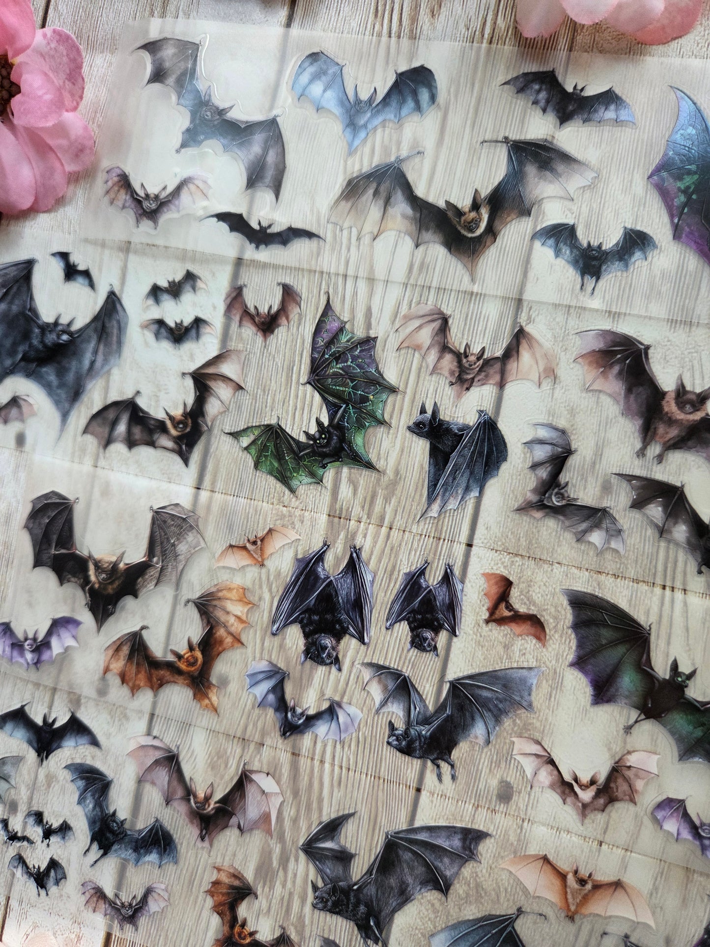 Bats - PET Tape Sample Loop (Mini)