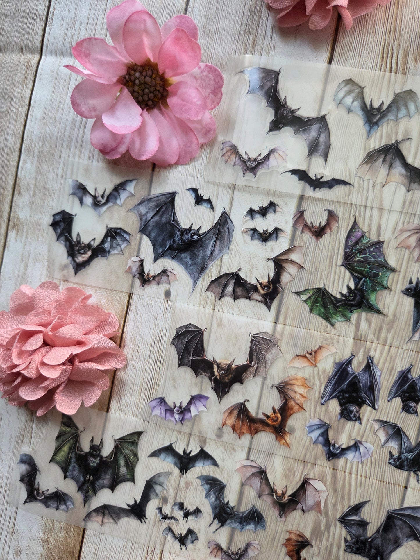 Bats - PET Tape Sample Loop (Mini)