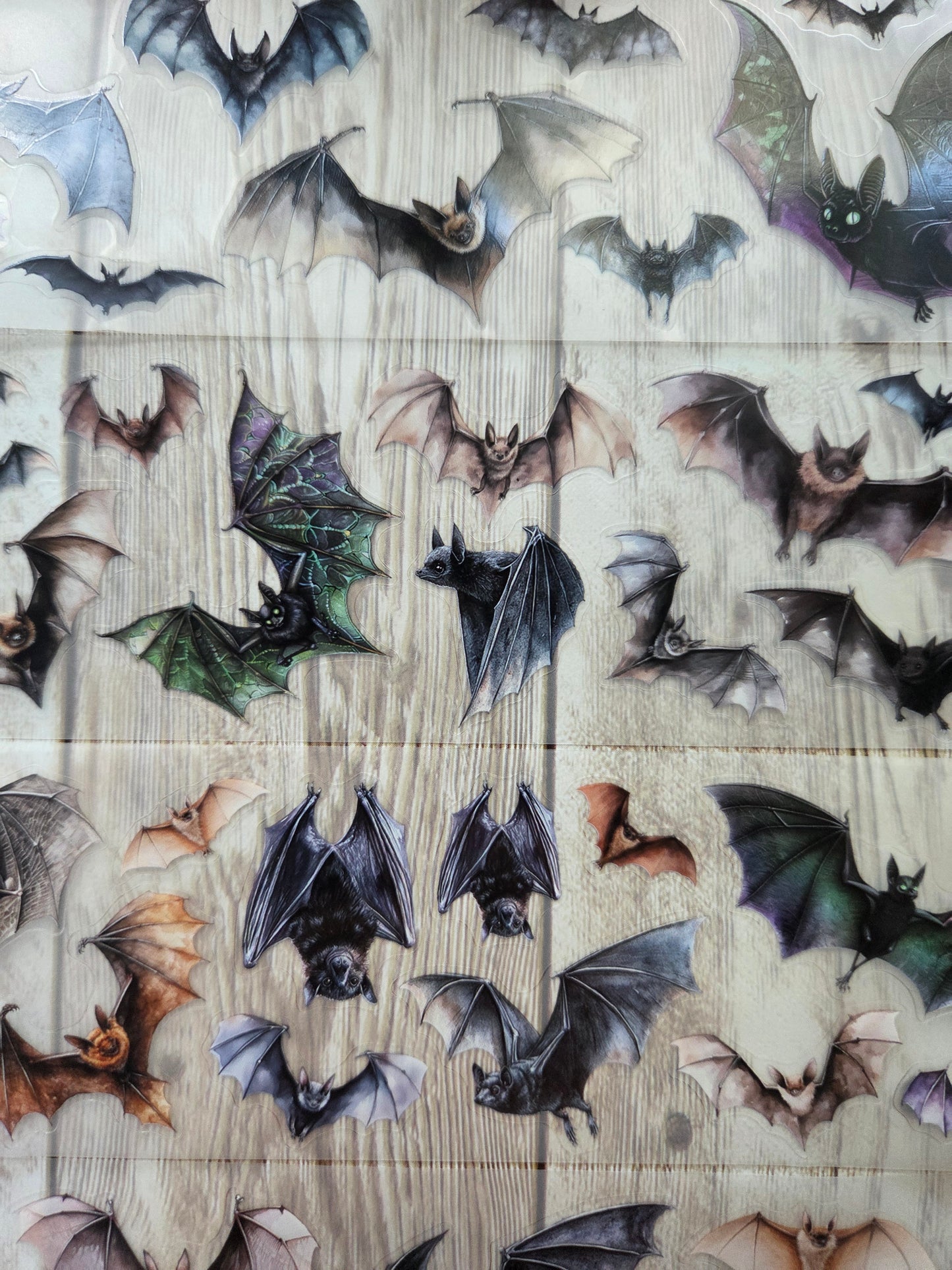 Bats - PET Tape Sample Loop (Mini)