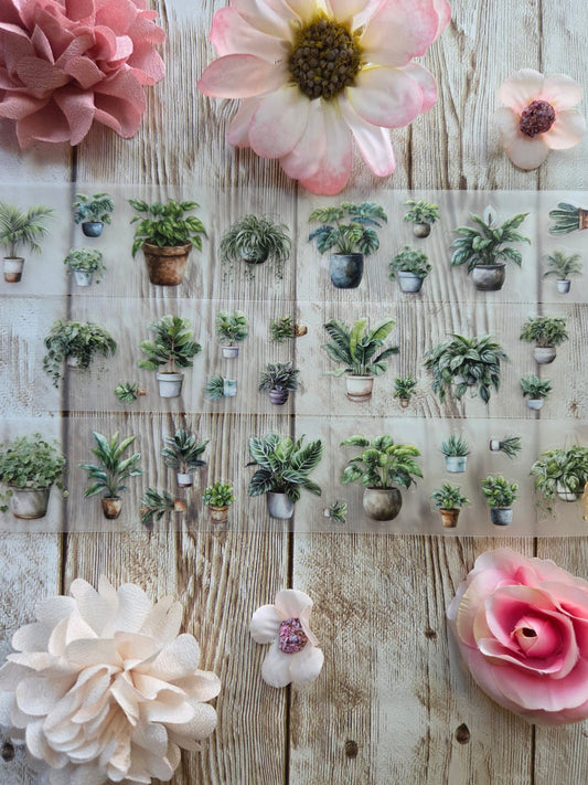 Plants - PET Tape Sample Loop (Itty Bitty)