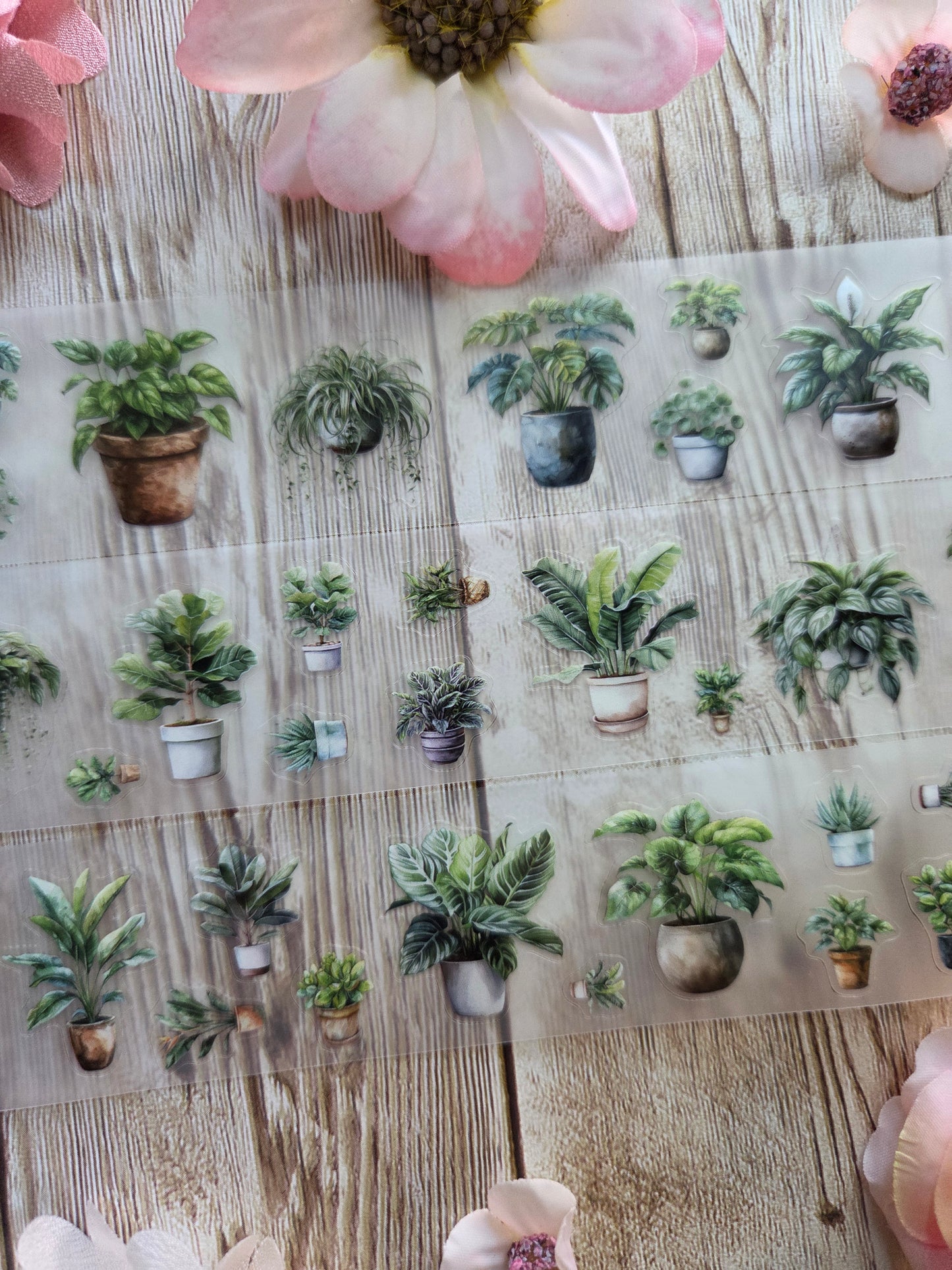 Plants - PET Tape Sample Loop (Itty Bitty)
