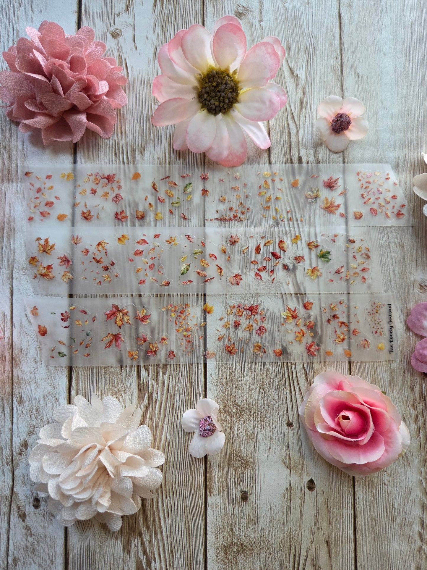 Autumn Leaves - PET Tape Sample Loop (Itty Bitty)