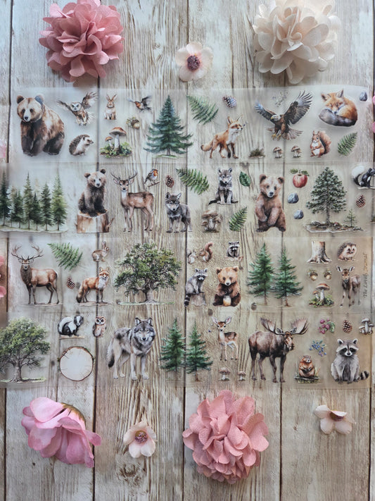 Woodland Animals - PET Tape Sample Loop (Mini)