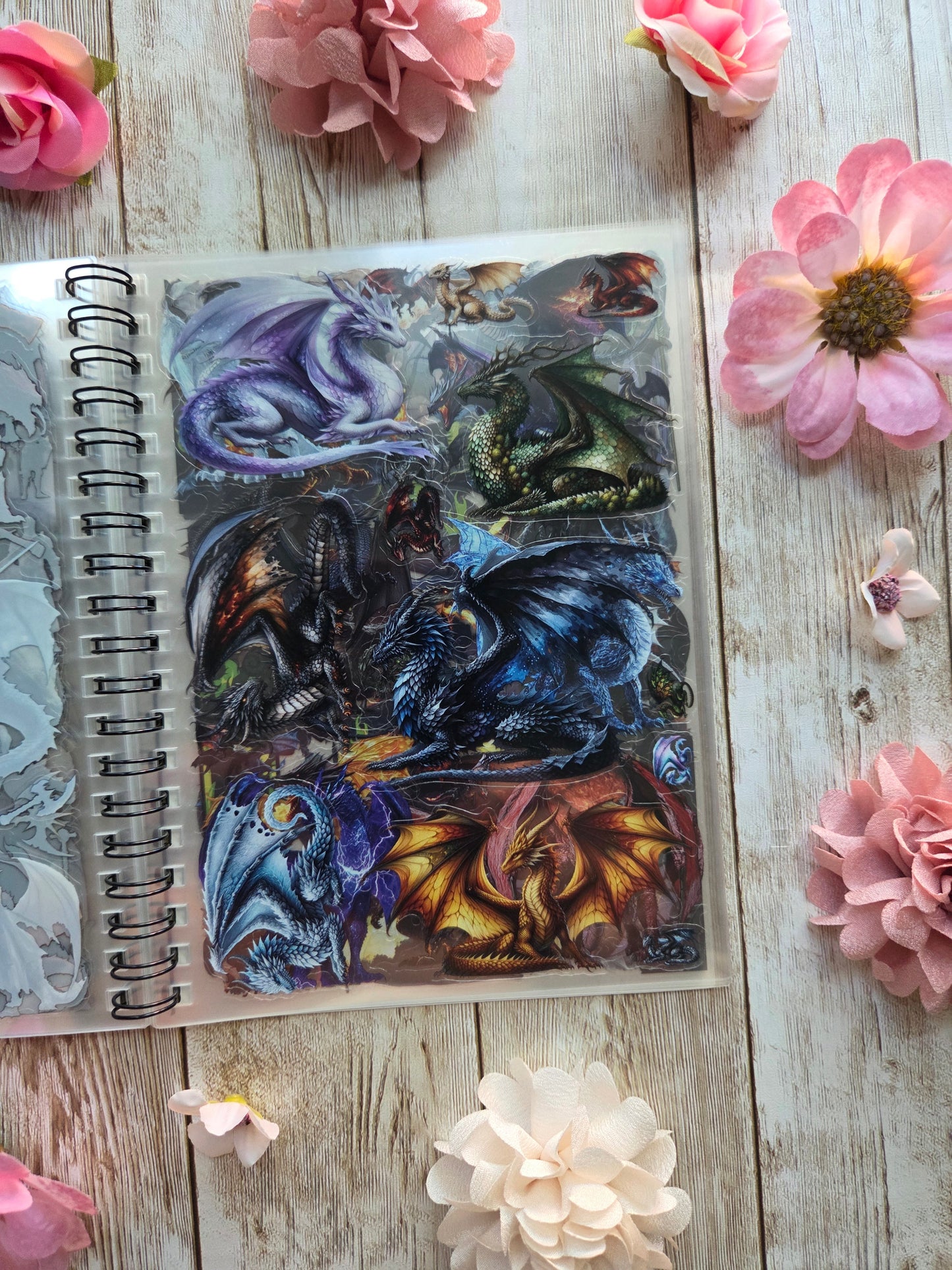 Dragons Sticker Book