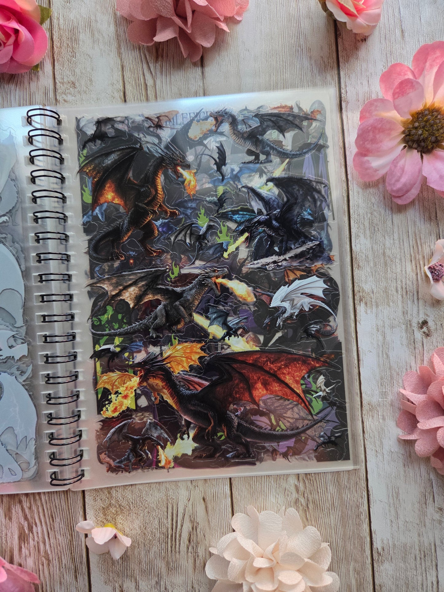 Dragons Sticker Book