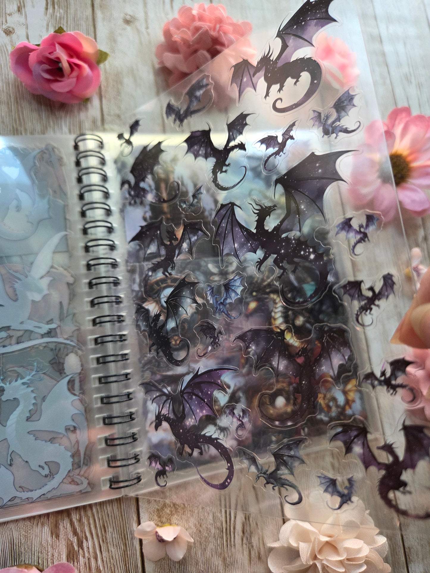 Dragons Sticker Book