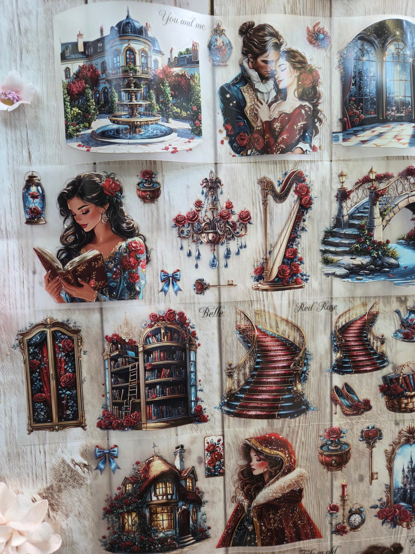 Belle - PET Tape Sample Loop (Reggie)