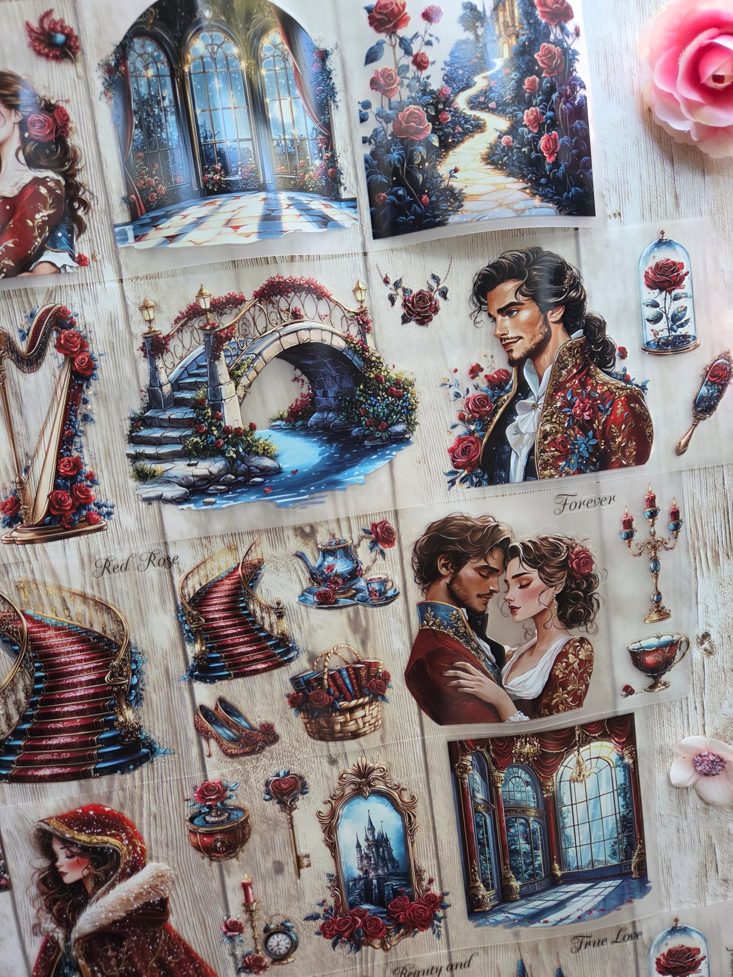 Belle - PET Tape Sample Loop (Reggie)