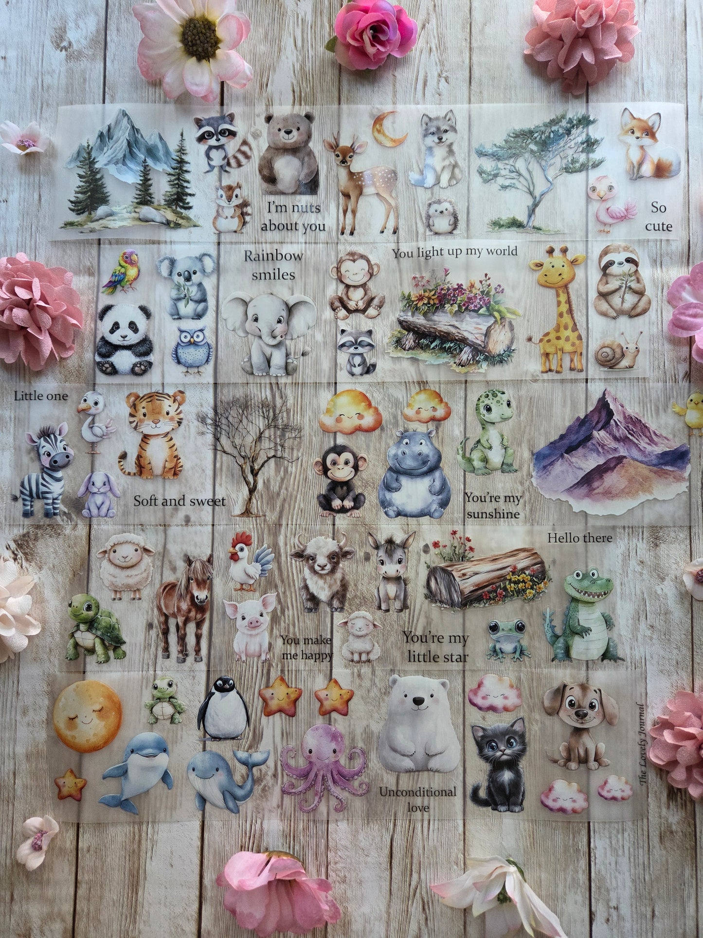 Baby Animals - PET Tape Sample Loop (Reggie)