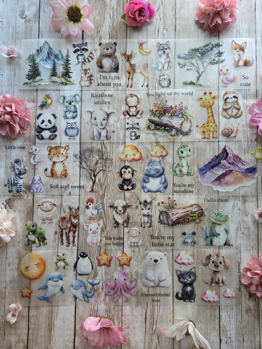 Baby Animals - PET Tape Sample Loop (Reggie)