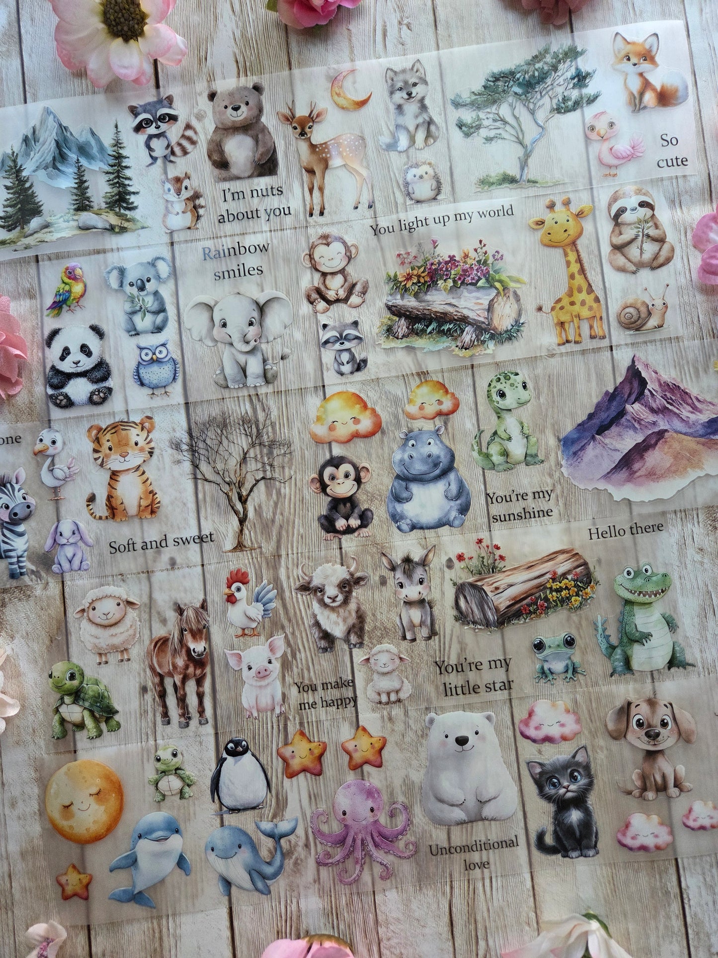 Baby Animals - PET Tape Sample Loop (Reggie)