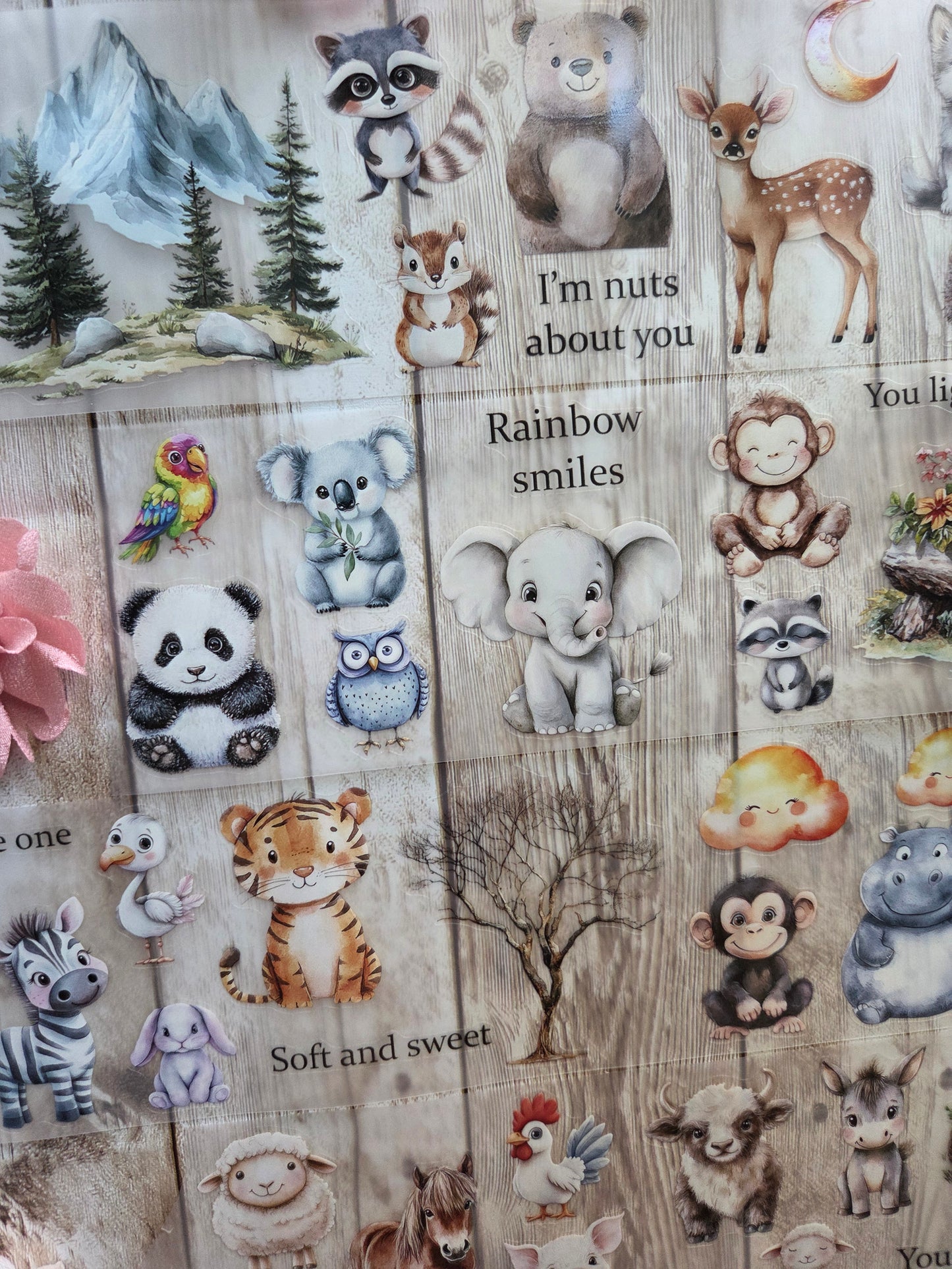 Baby Animals - PET Tape Sample Loop (Reggie)