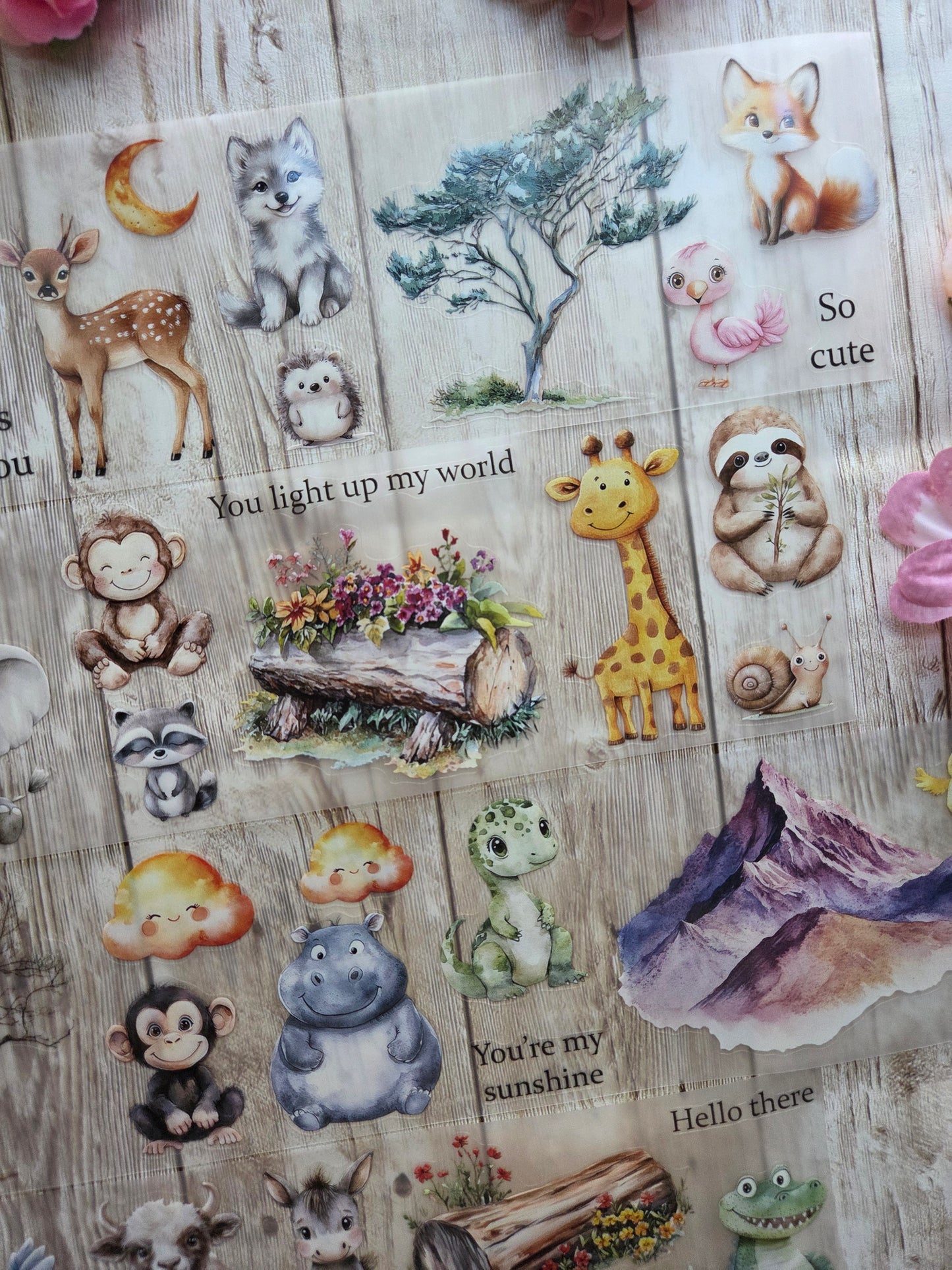 Baby Animals - PET Tape Sample Loop (Reggie)