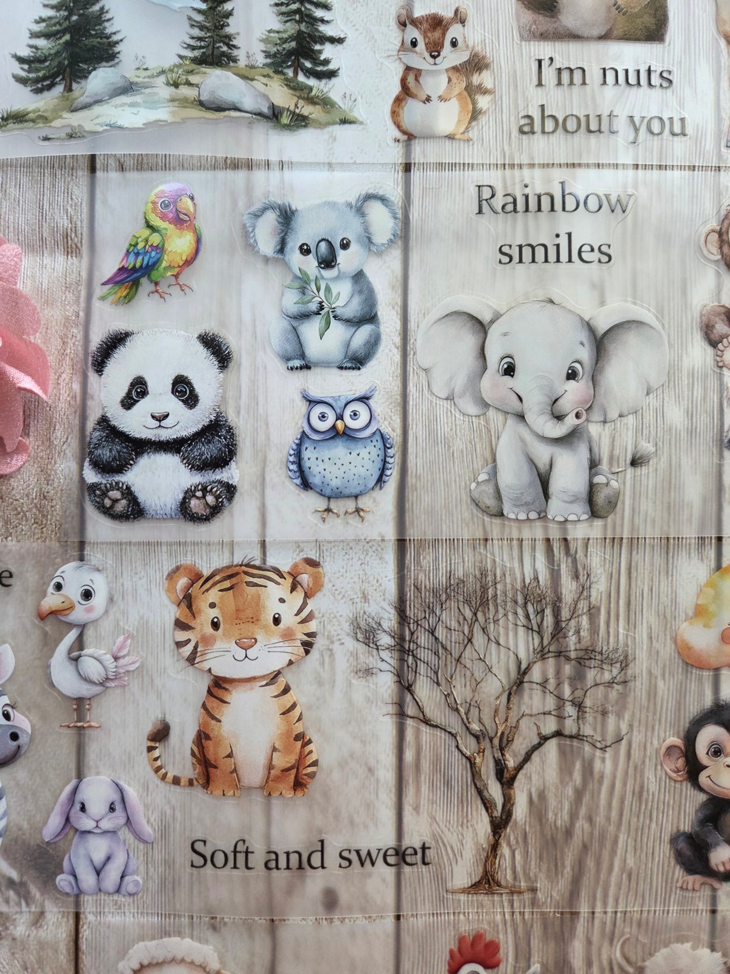 Baby Animals - PET Tape Sample Loop (Reggie)