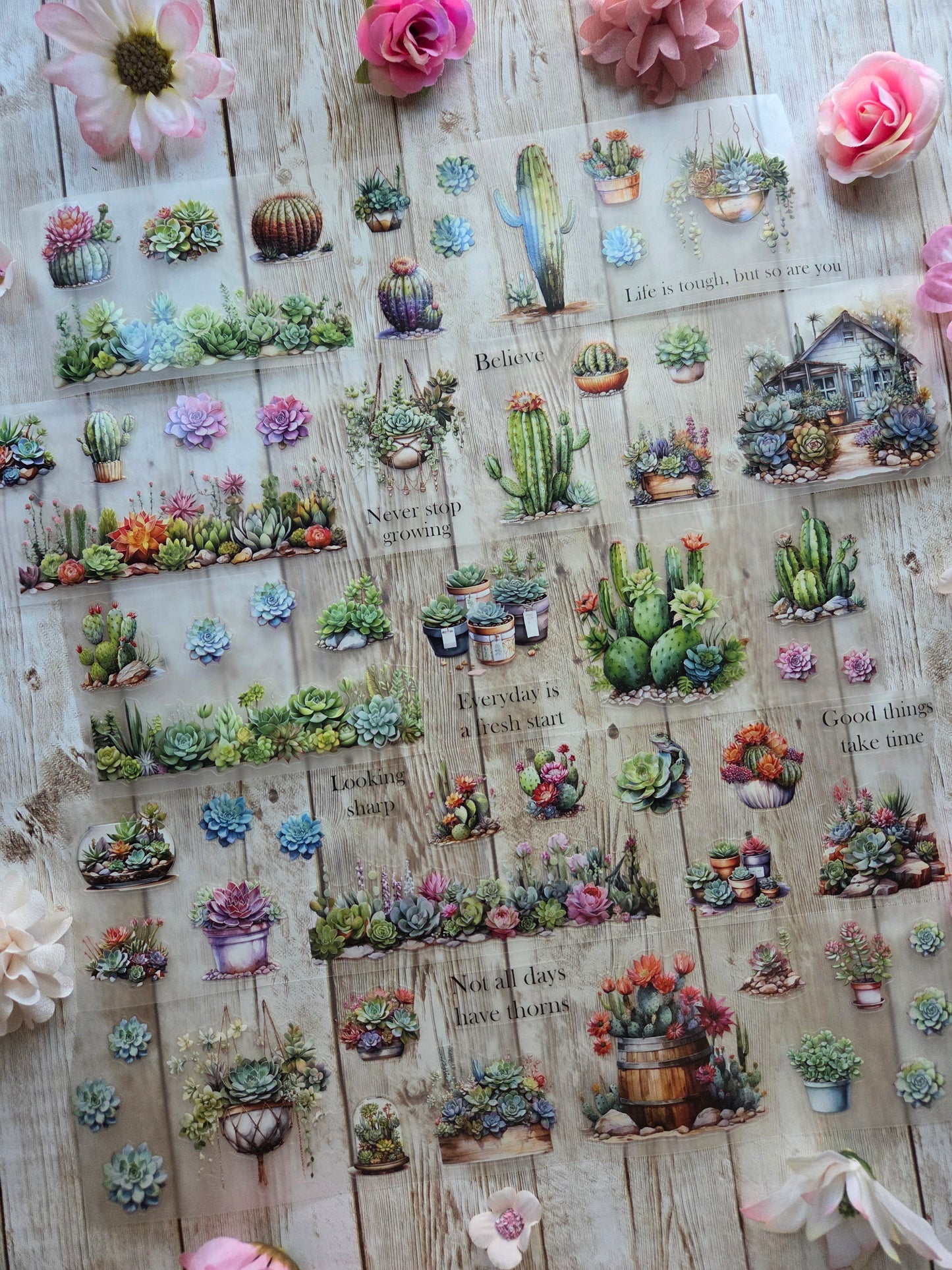 Succulents - PET Tape Sample Loop (Reggie)