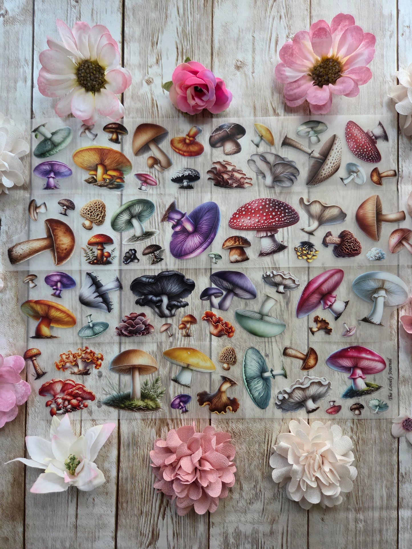 Mushrooms - PET Tape Sample Loop (Mini)