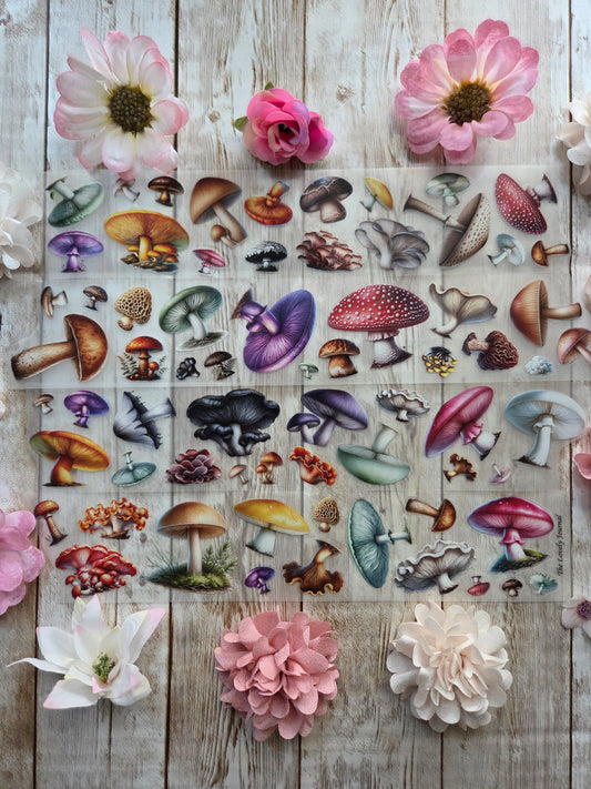 Mushrooms - PET Tape Sample Loop (Mini)