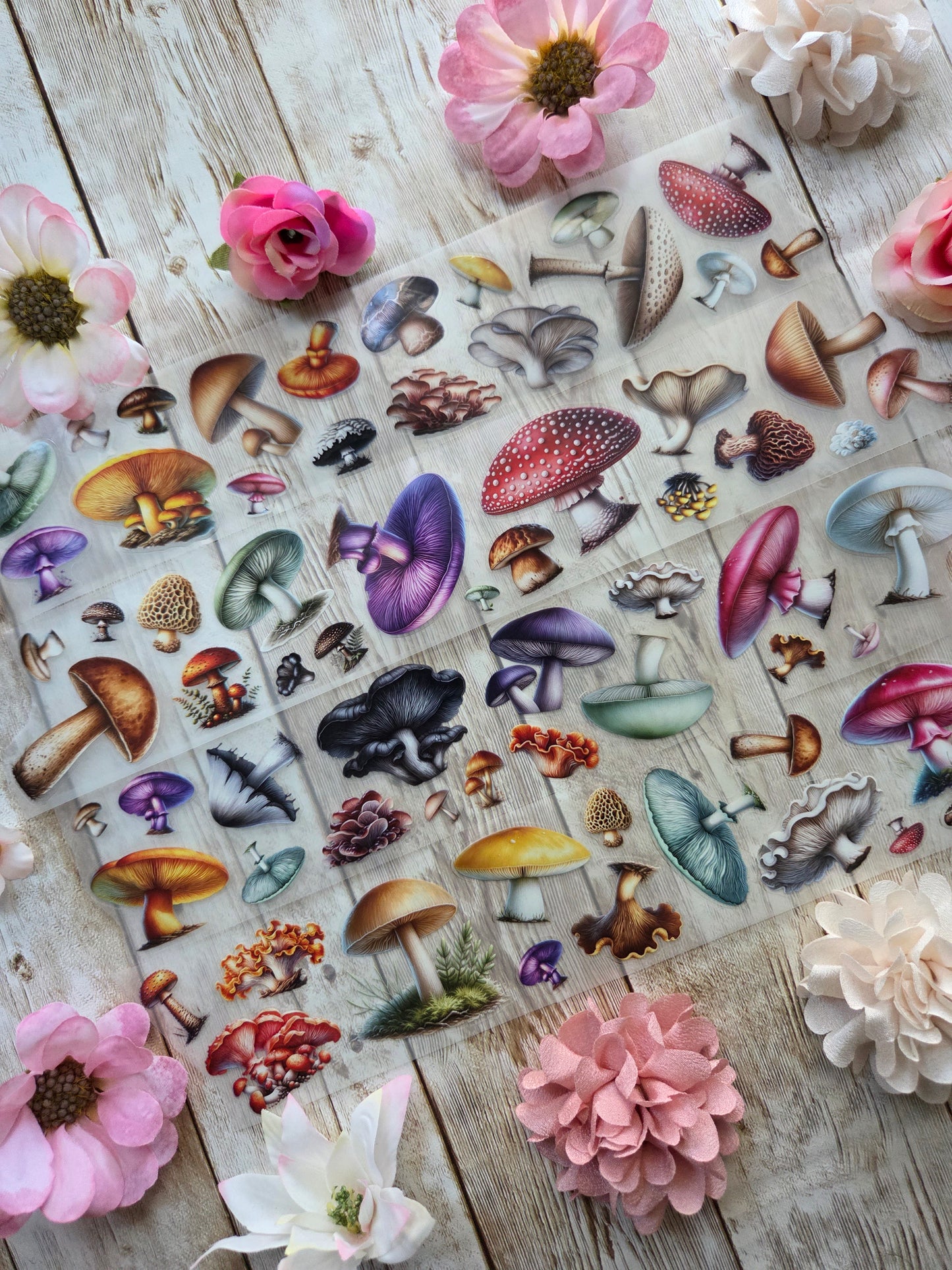 Mushrooms - PET Tape Sample Loop (Mini)