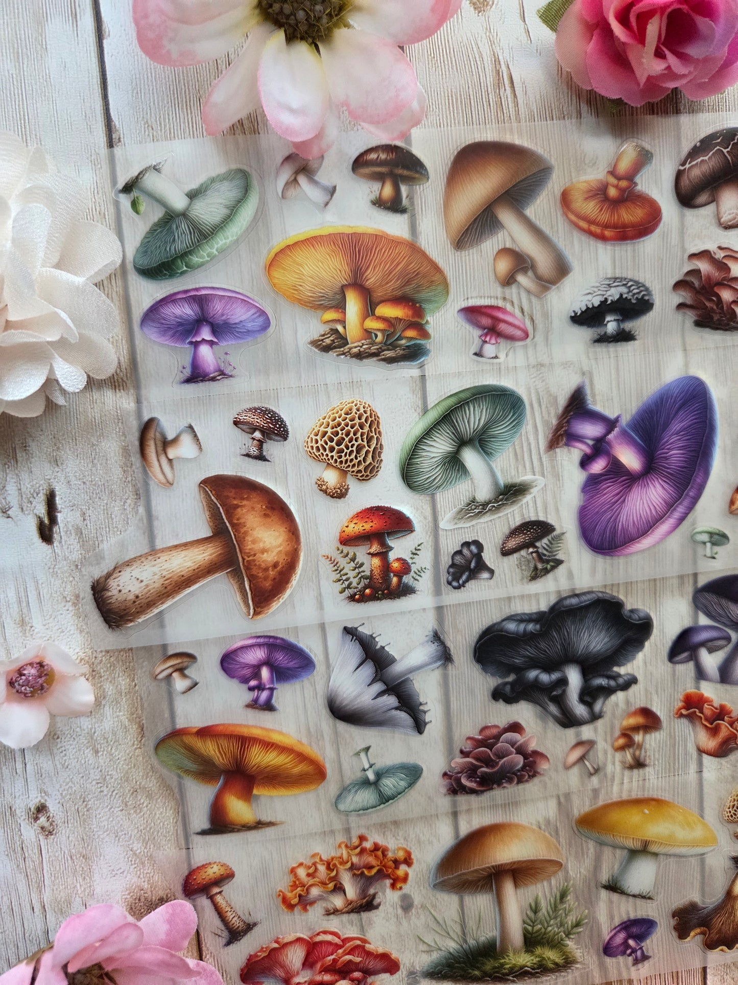 Mushrooms - PET Tape Sample Loop (Mini)