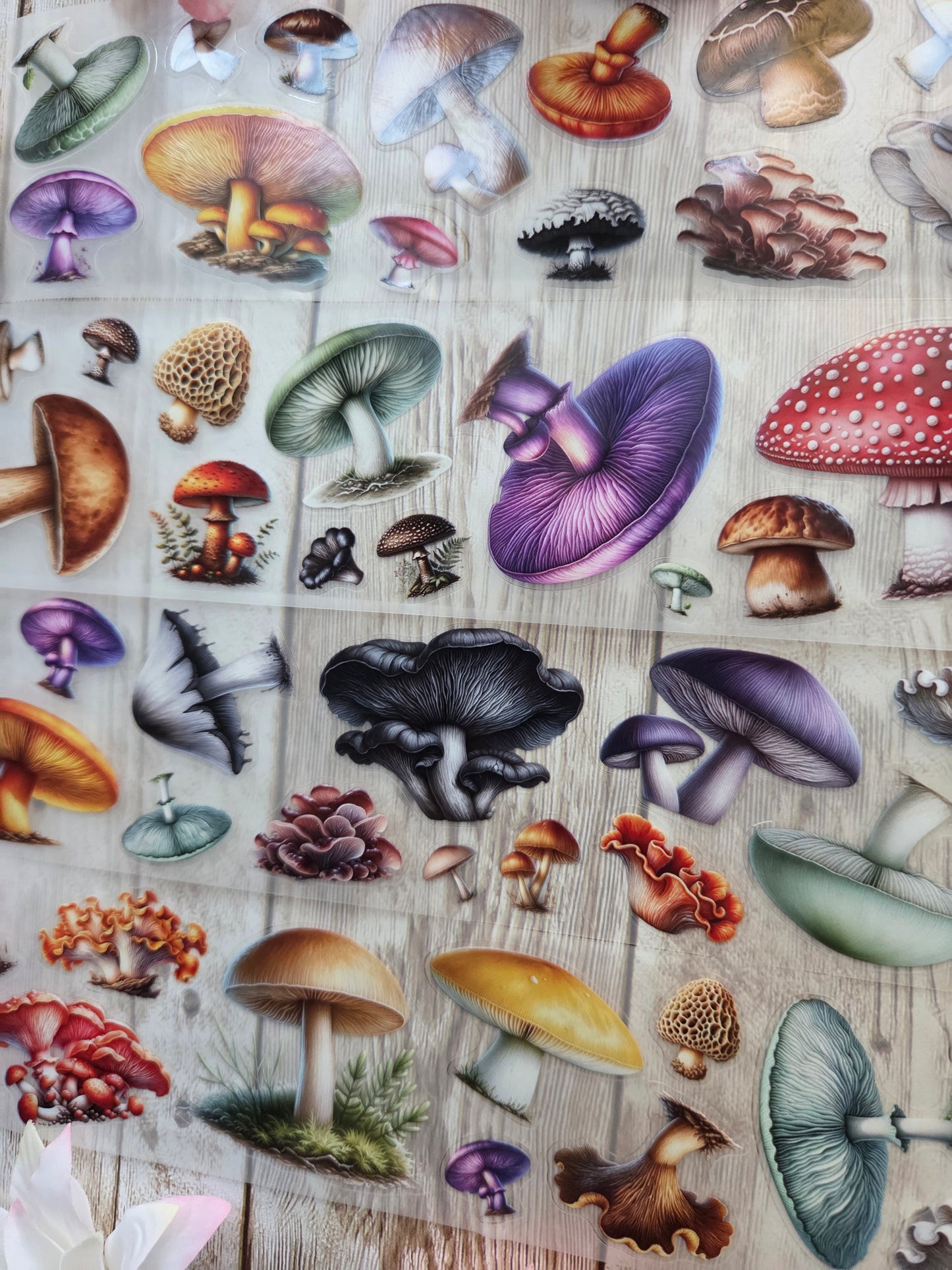 Mushrooms - PET Tape Sample Loop (Mini)