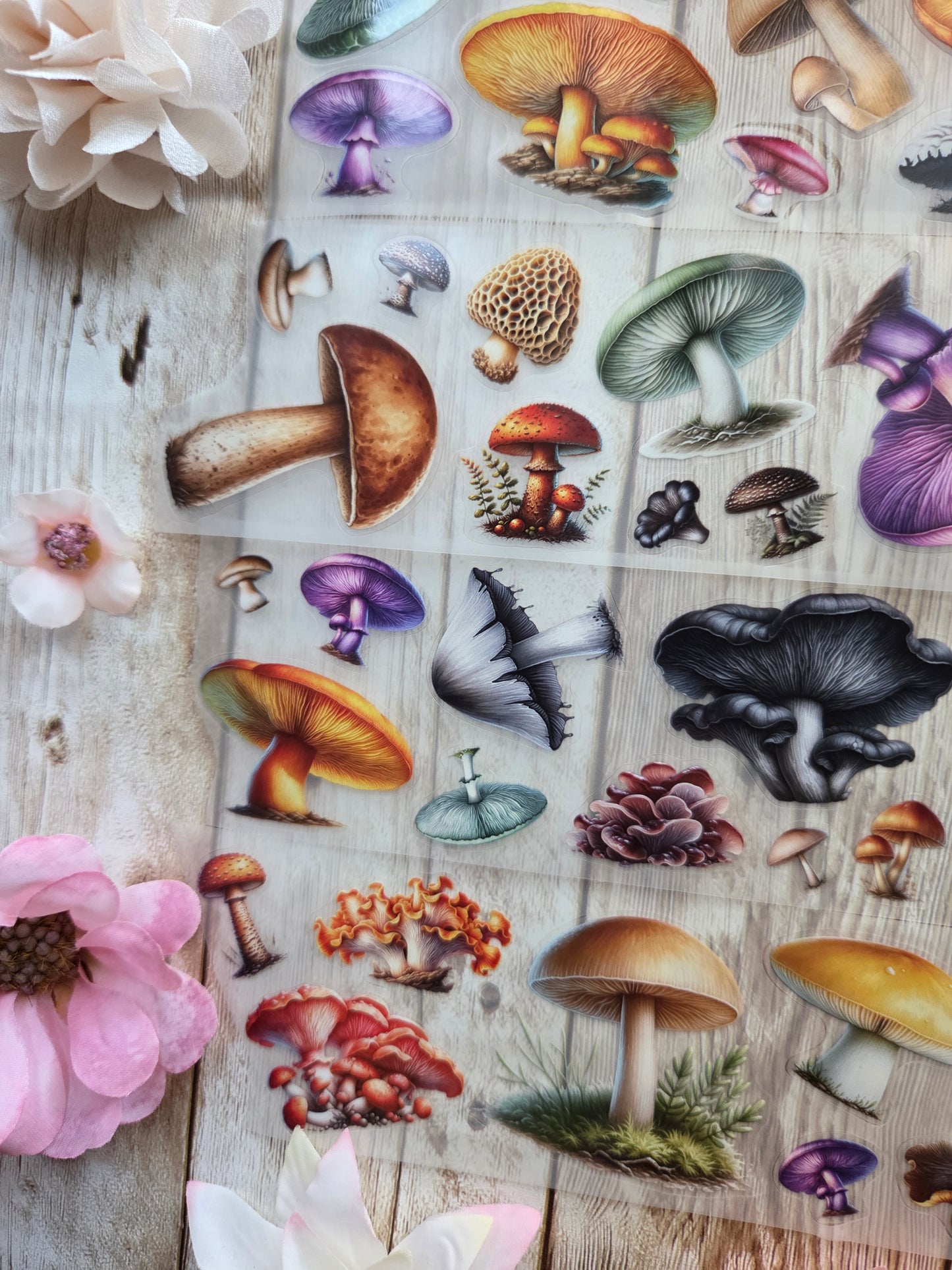 Mushrooms - PET Tape Sample Loop (Mini)