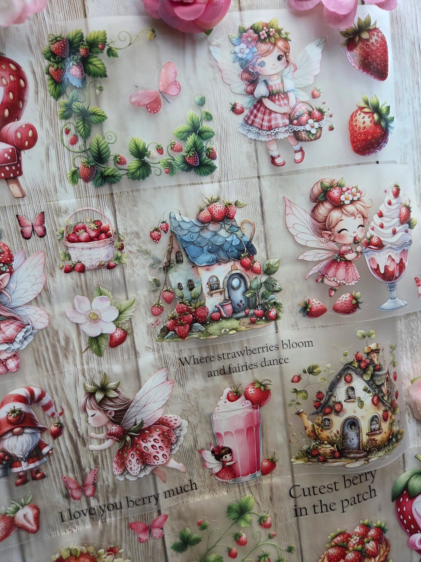 Strawberry Fairies - PET Tape Sample Loop (Reggie)