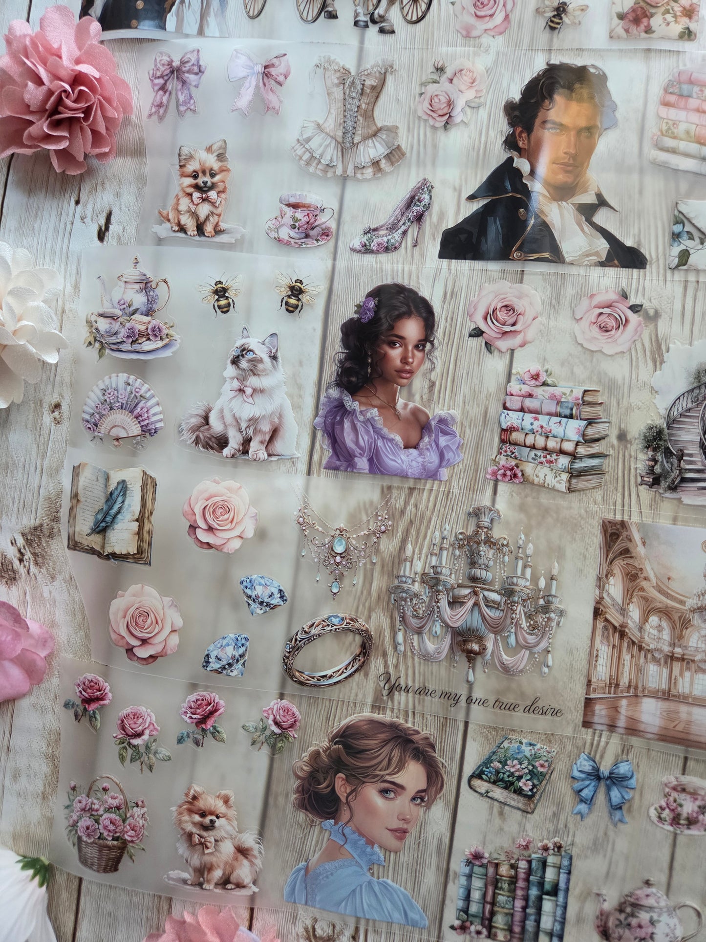 Regency Romance - PET Tape Sample Loop (Reggie)