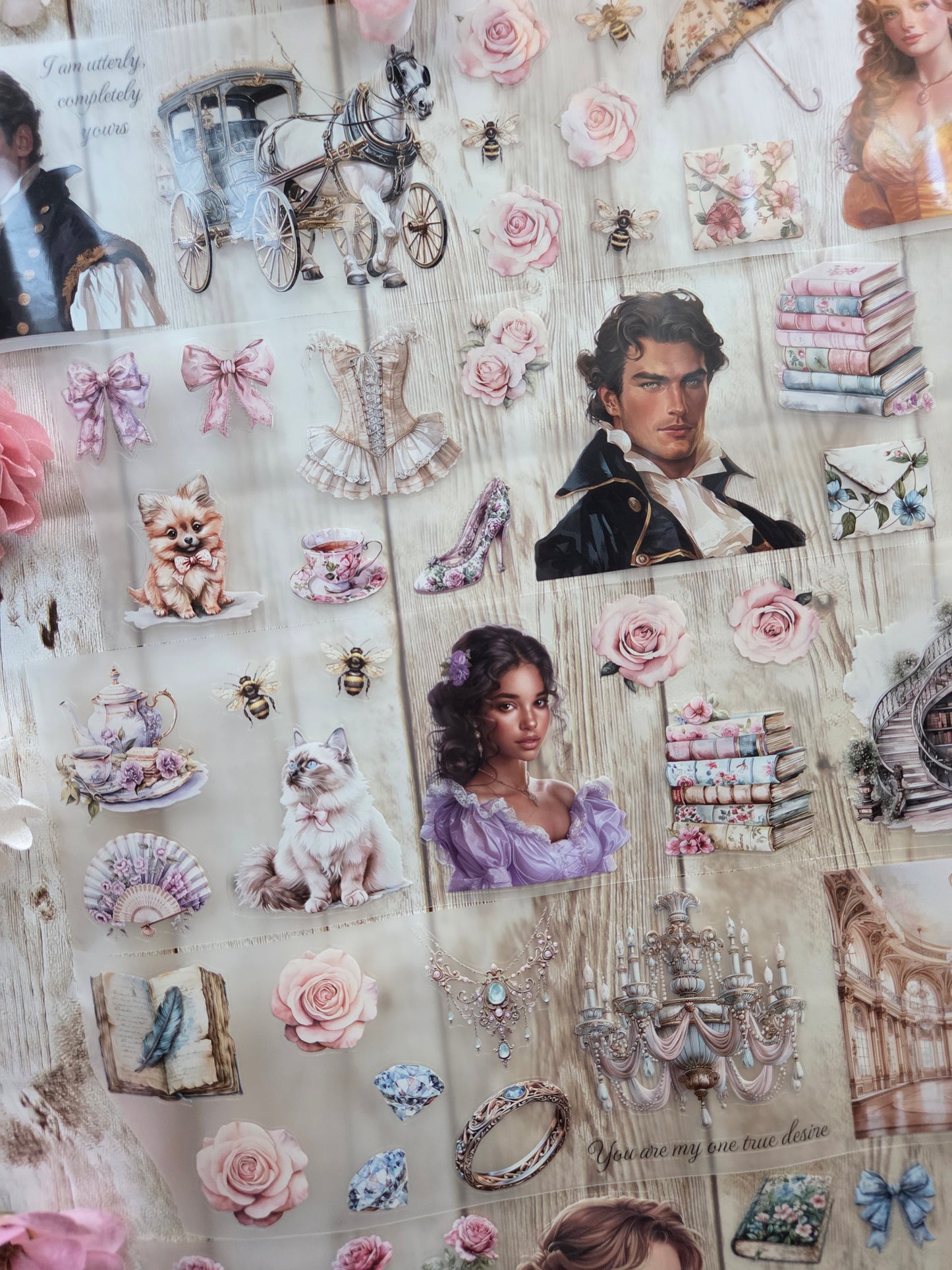 Regency Romance - PET Tape Sample Loop (Reggie)